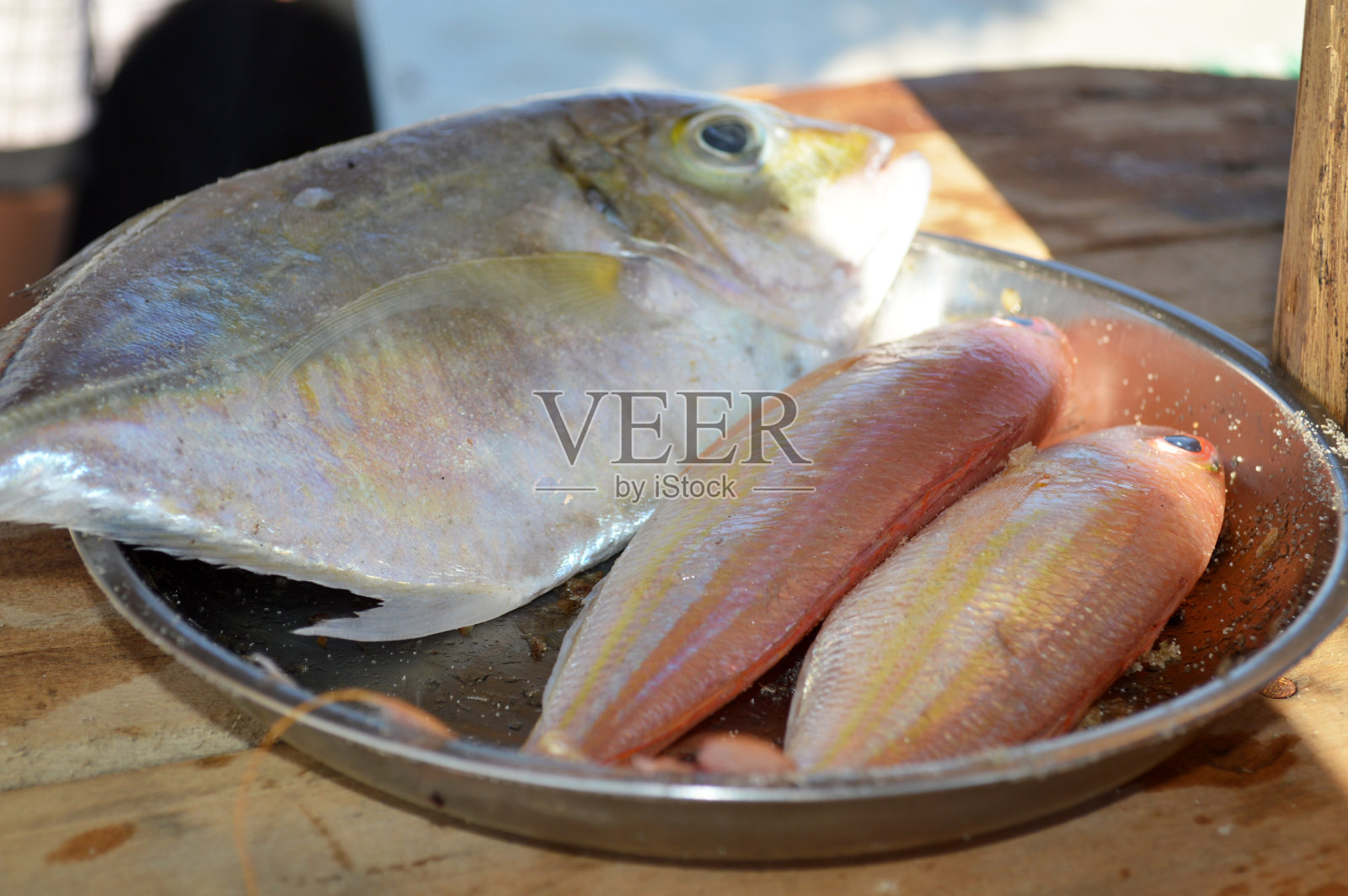 海鱼照片摄影图片