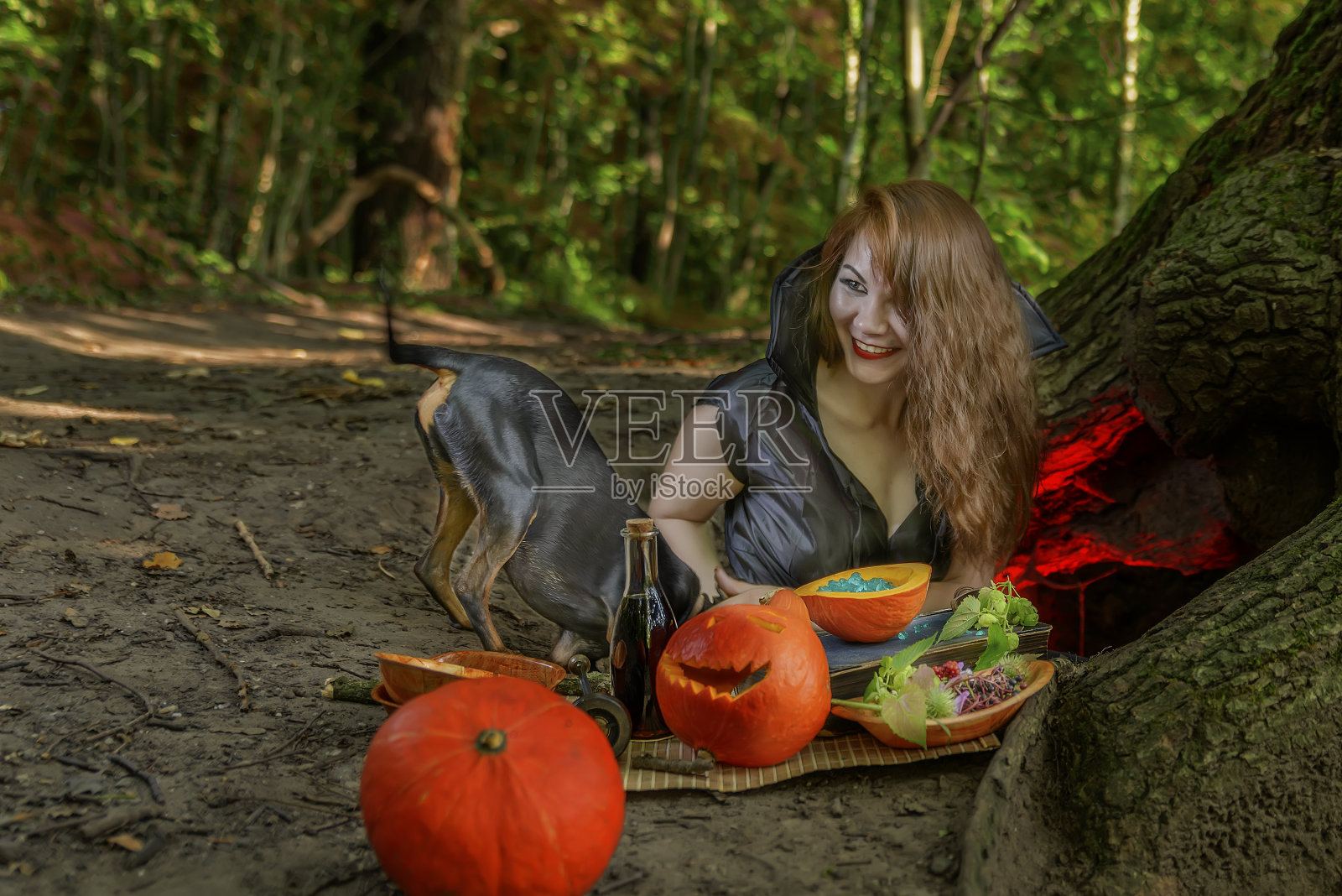 年轻的女巫和一只狗在一棵老树的根部举行仪式。照片摄影图片