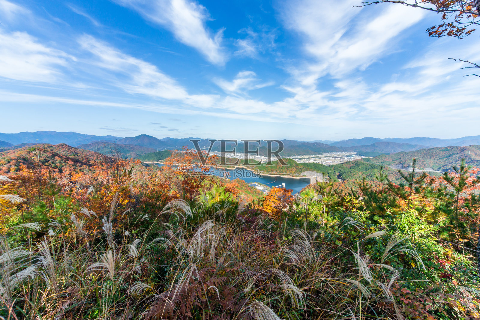 深秋照片摄影图片