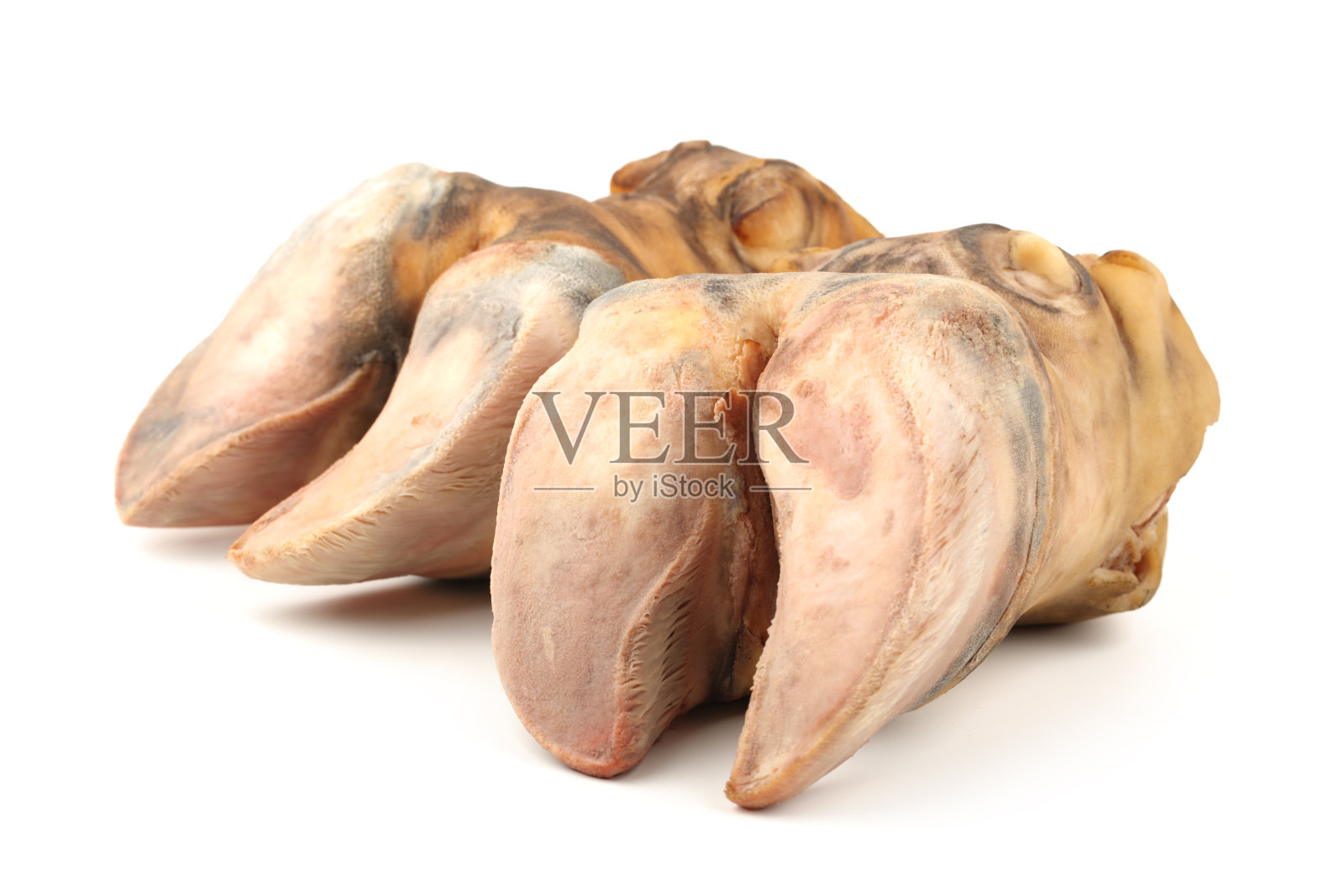 白色背景上的牛蹄照片摄影图片