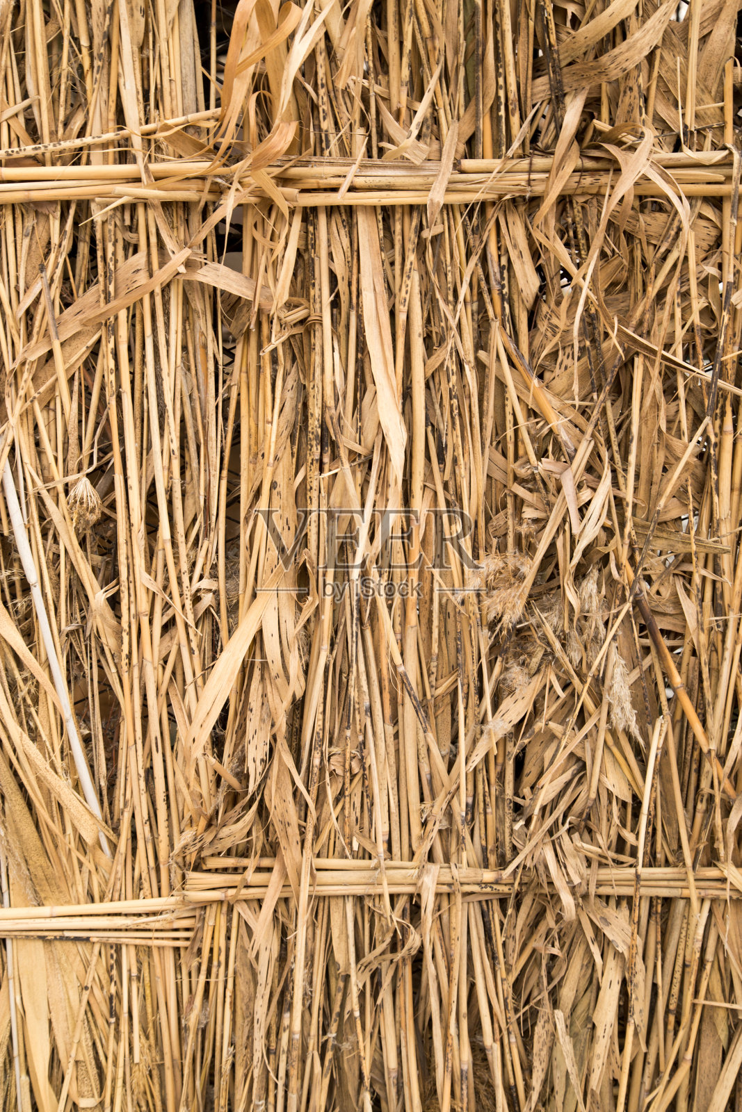 前视图甘蔗干,作为背景照片摄影图片