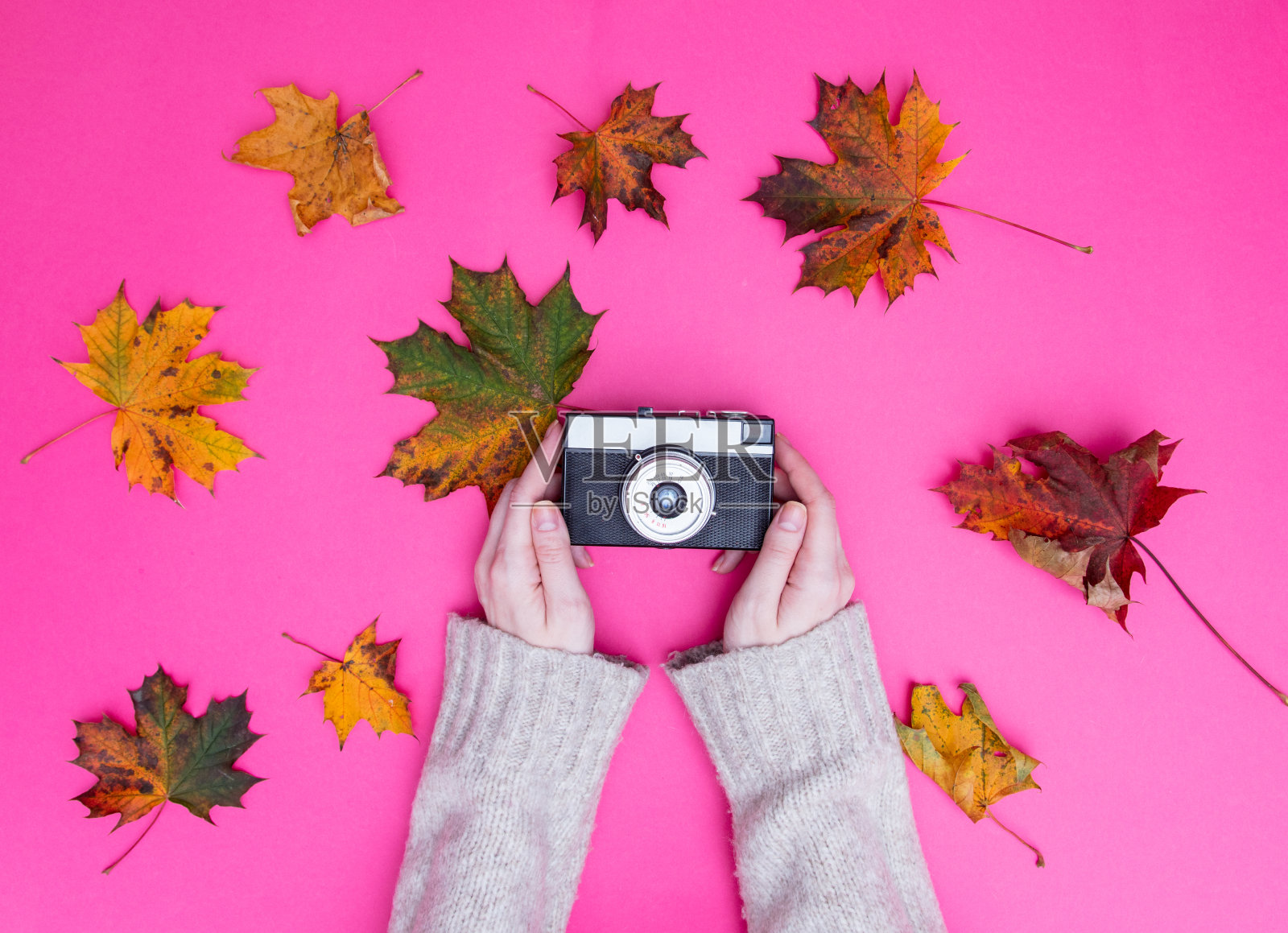 女性手握老式相机照片摄影图片