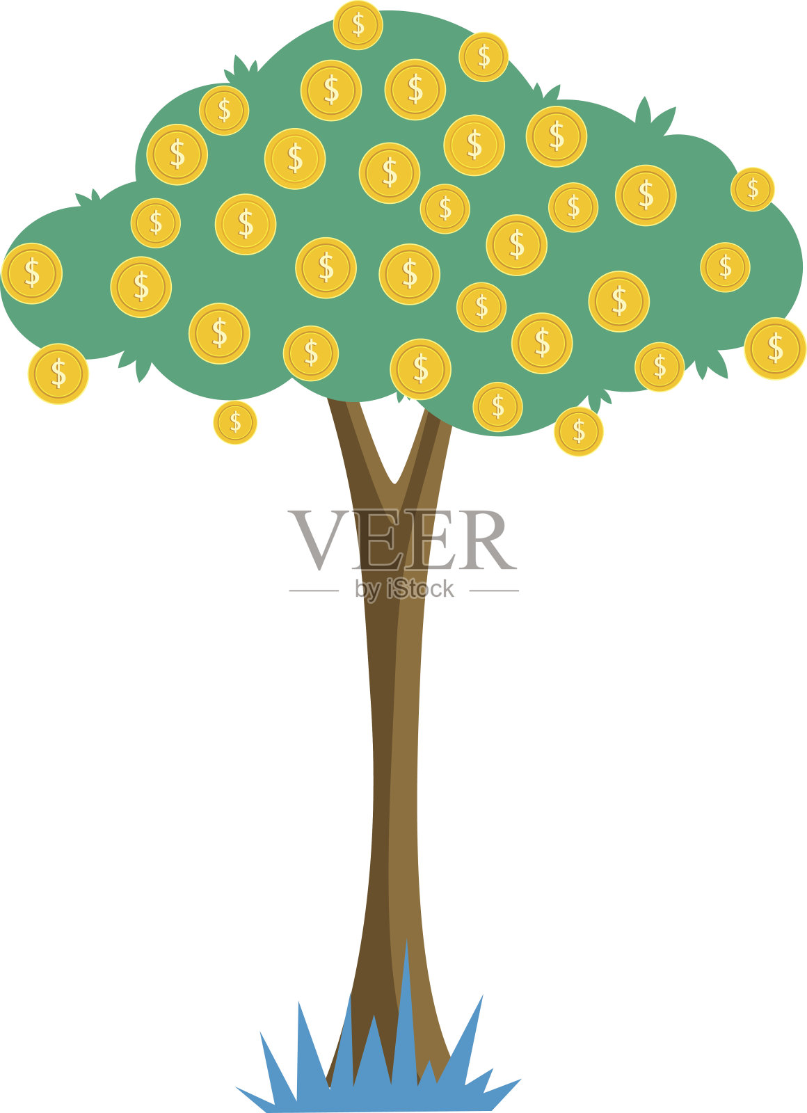 美元树插画图片素材