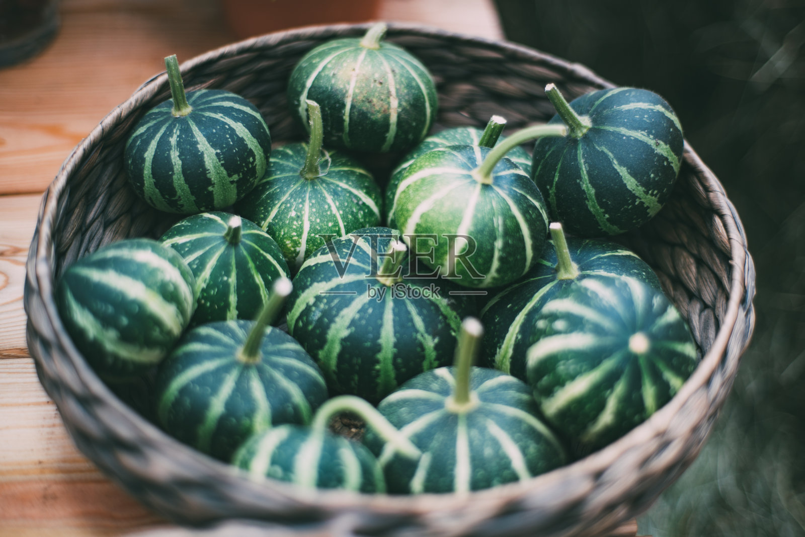 有绿色条纹南瓜的篮子照片摄影图片