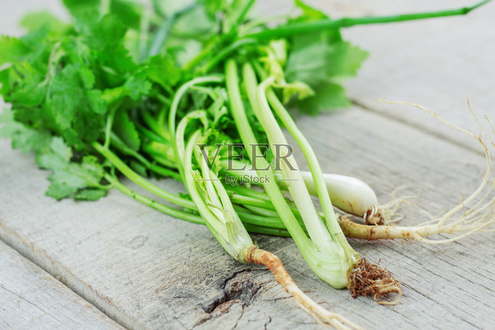 芹菜和欧芹放在木头上。照片摄影图片