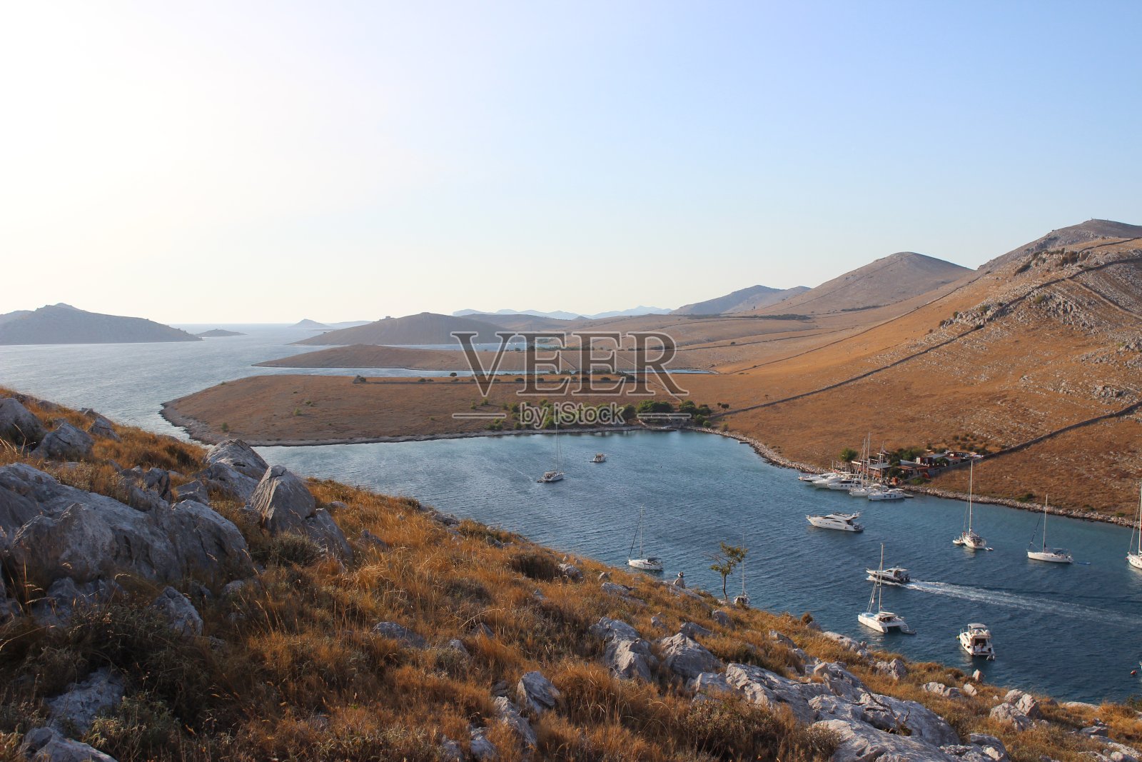 玉米酸盐照片摄影图片