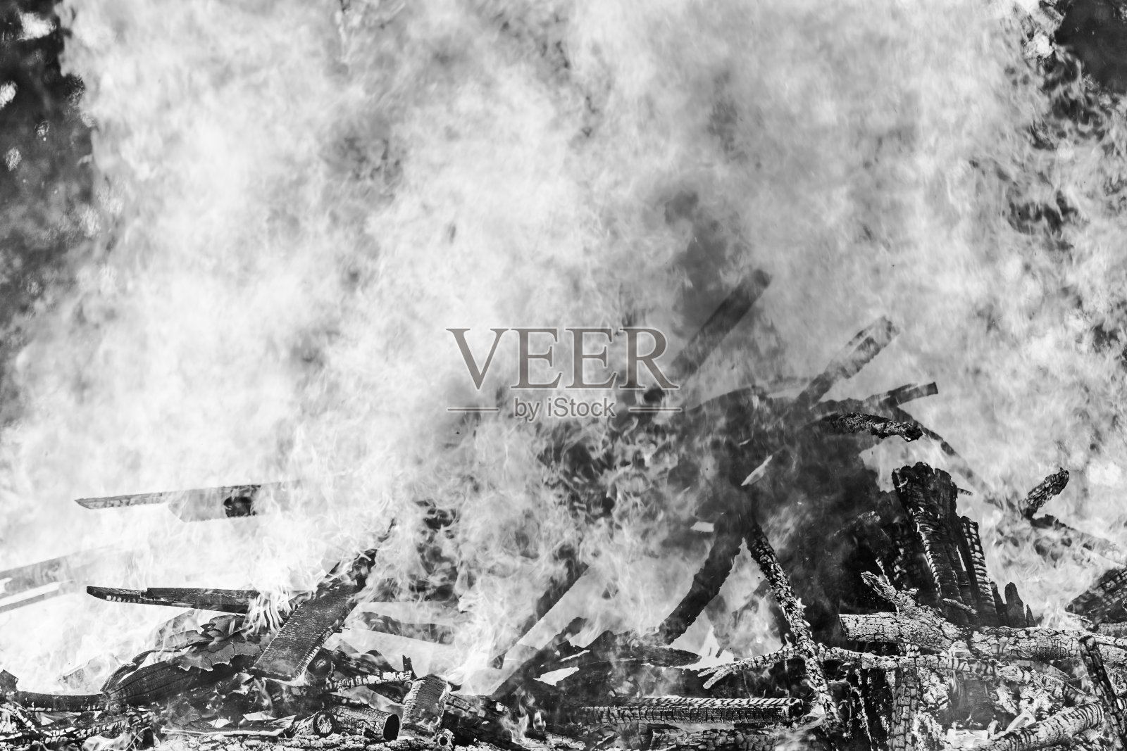 灌丛火照片摄影图片