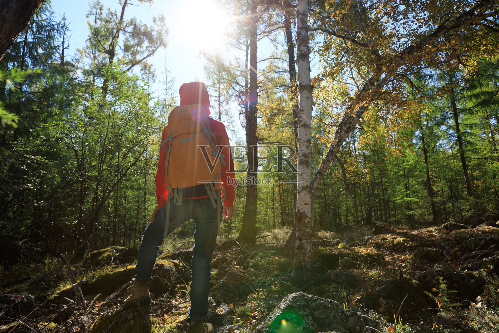 徒步女背包在日出森林照片摄影图片
