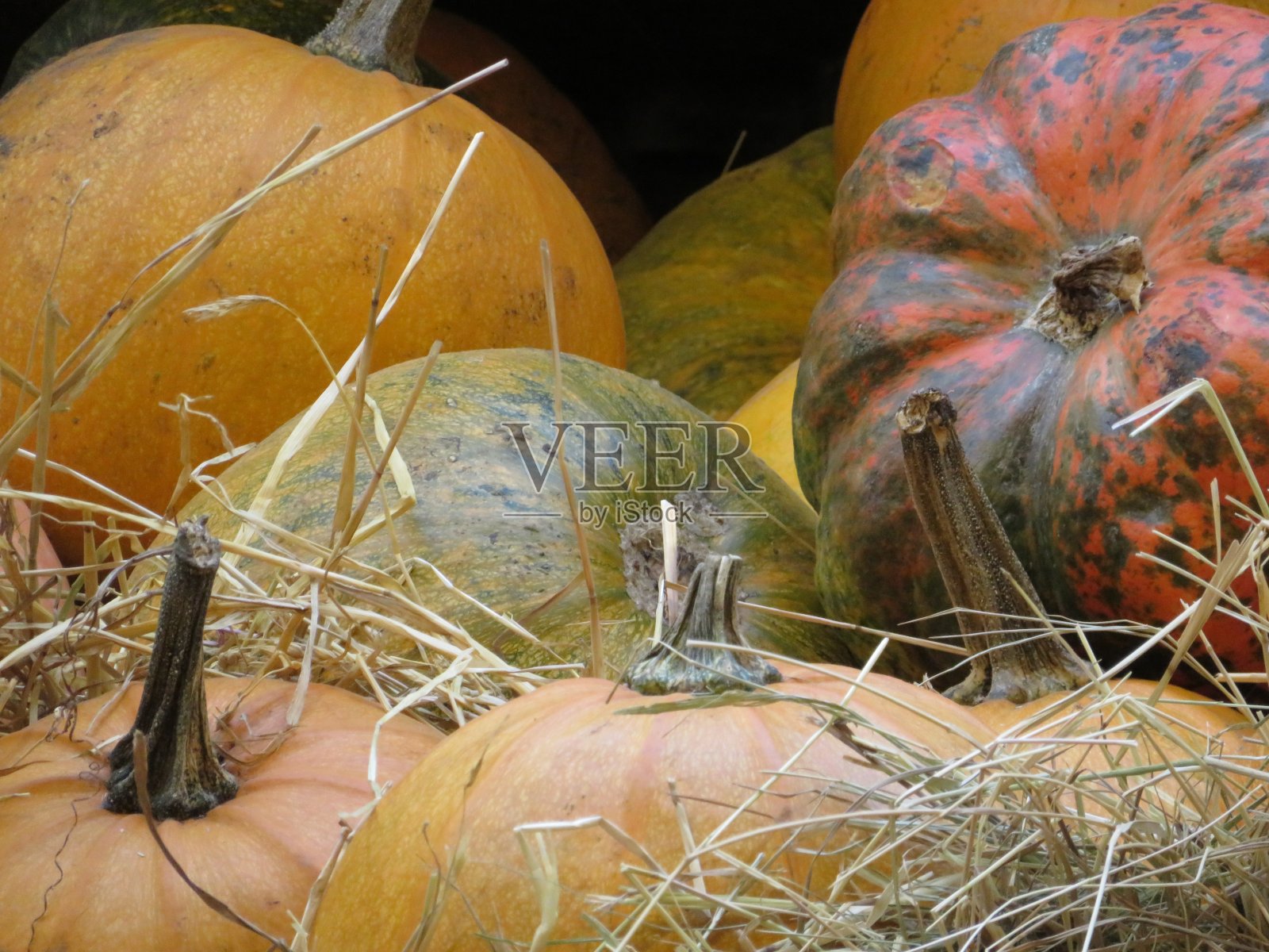 南瓜用稻草。秋天的收获照片摄影图片