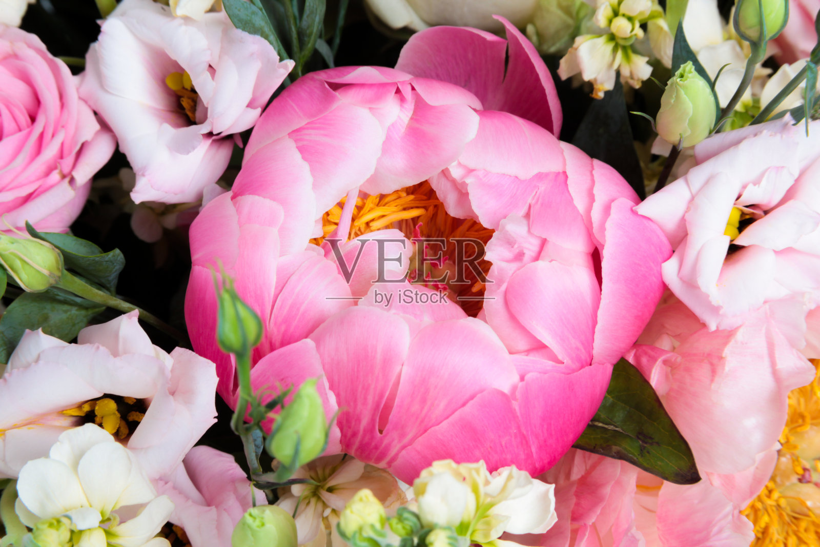 一束牡丹和不同的花照片摄影图片