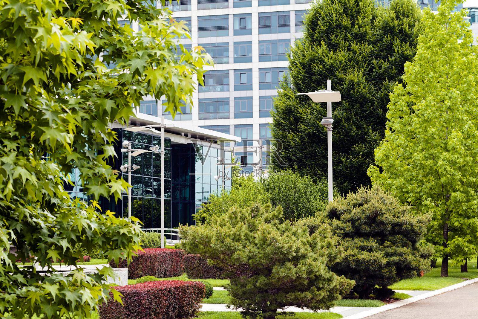 公园里的灌木丛照片摄影图片