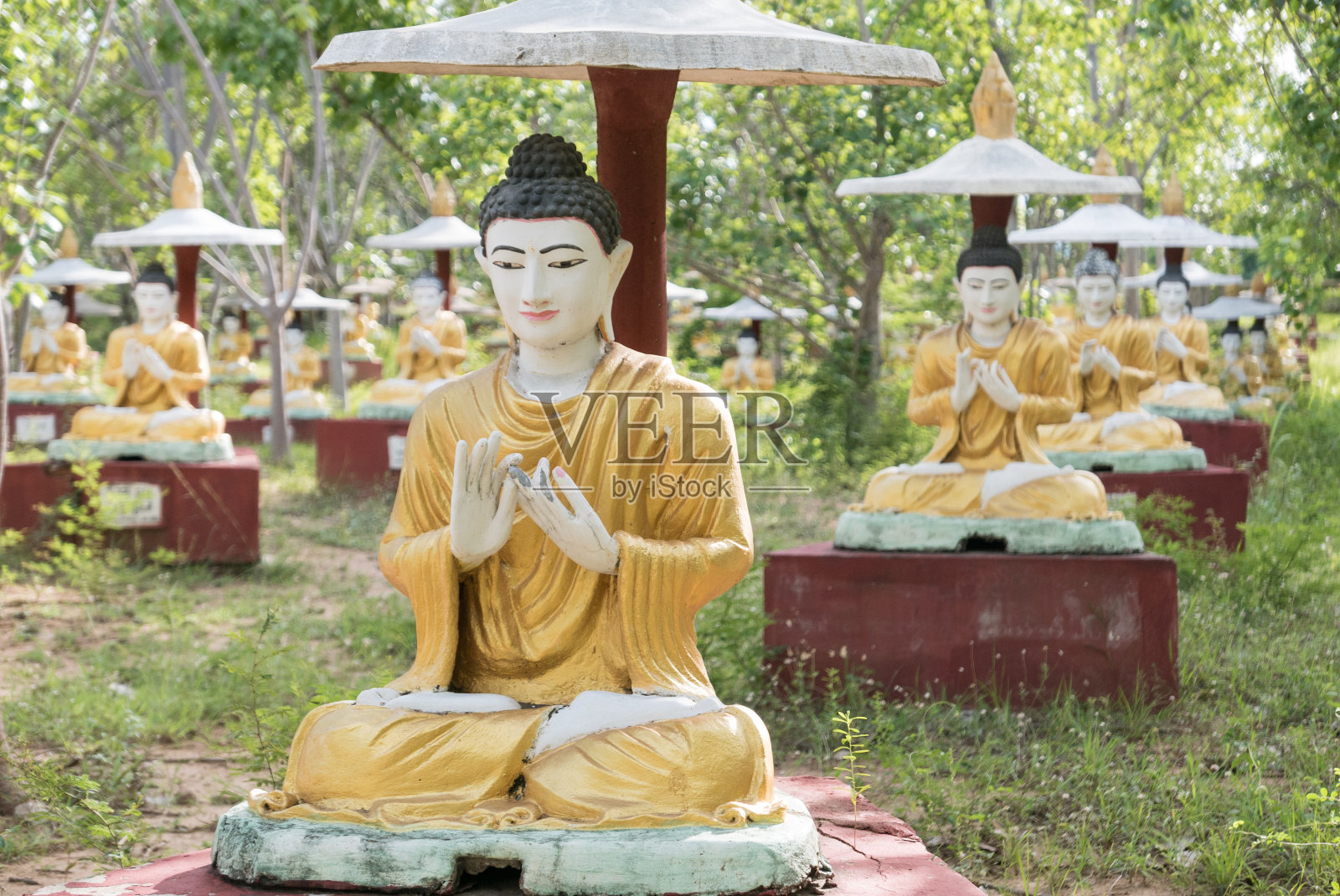 缅甸摩育瓦,菩提大同坐佛成排照片摄影图片