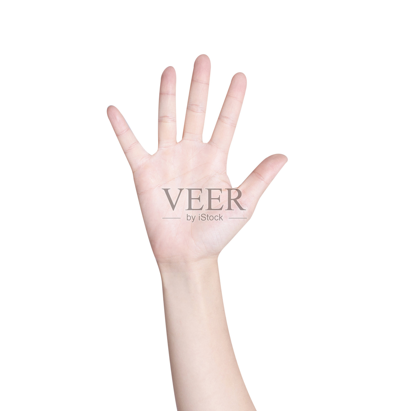 计数手在白色背景,与剪切路径照片摄影图片