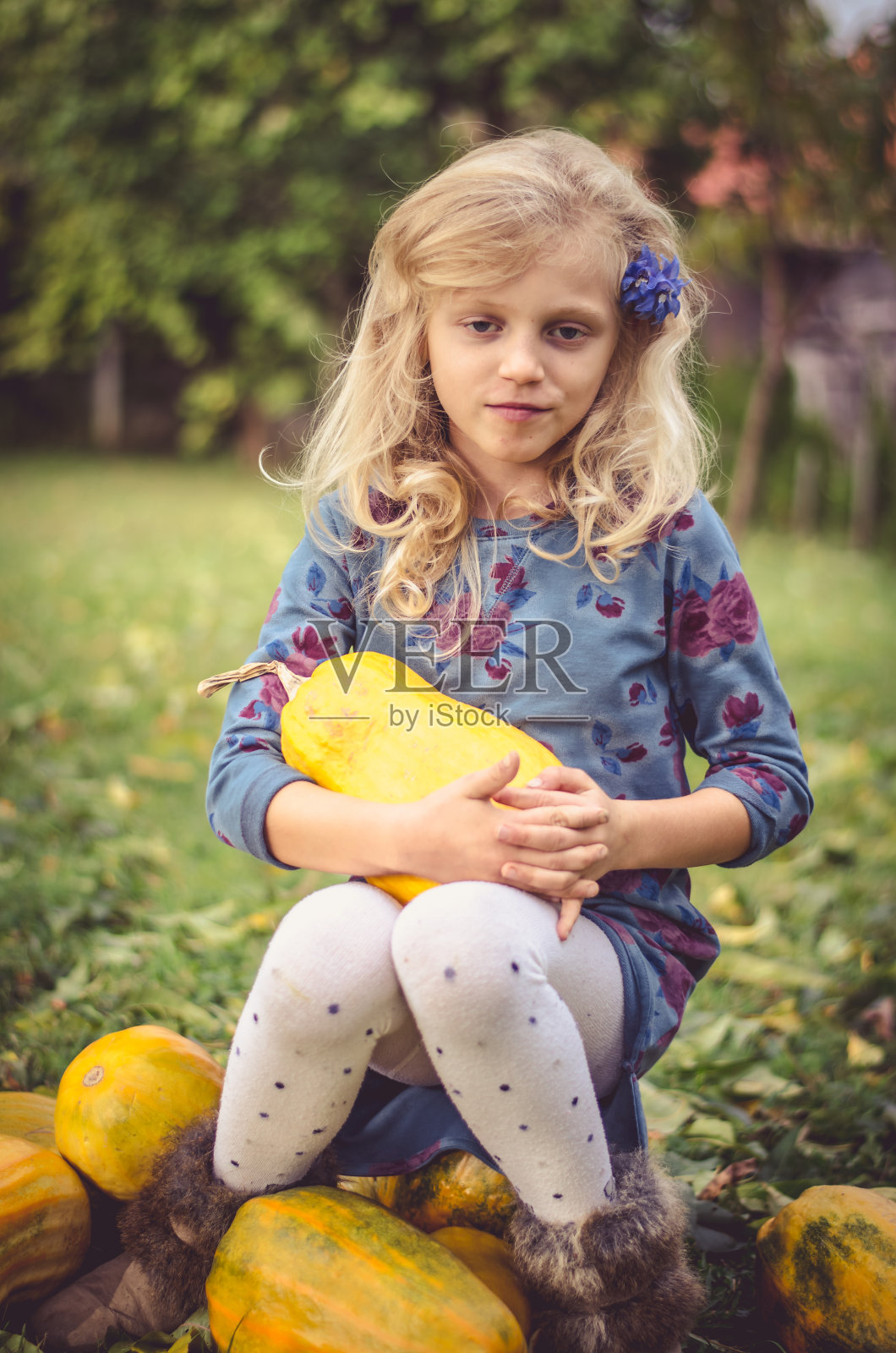 小男孩在秋天的花园里照片摄影图片