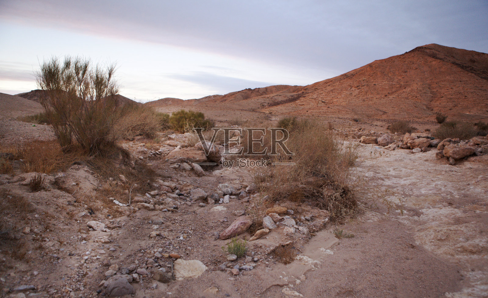以色列照片摄影图片