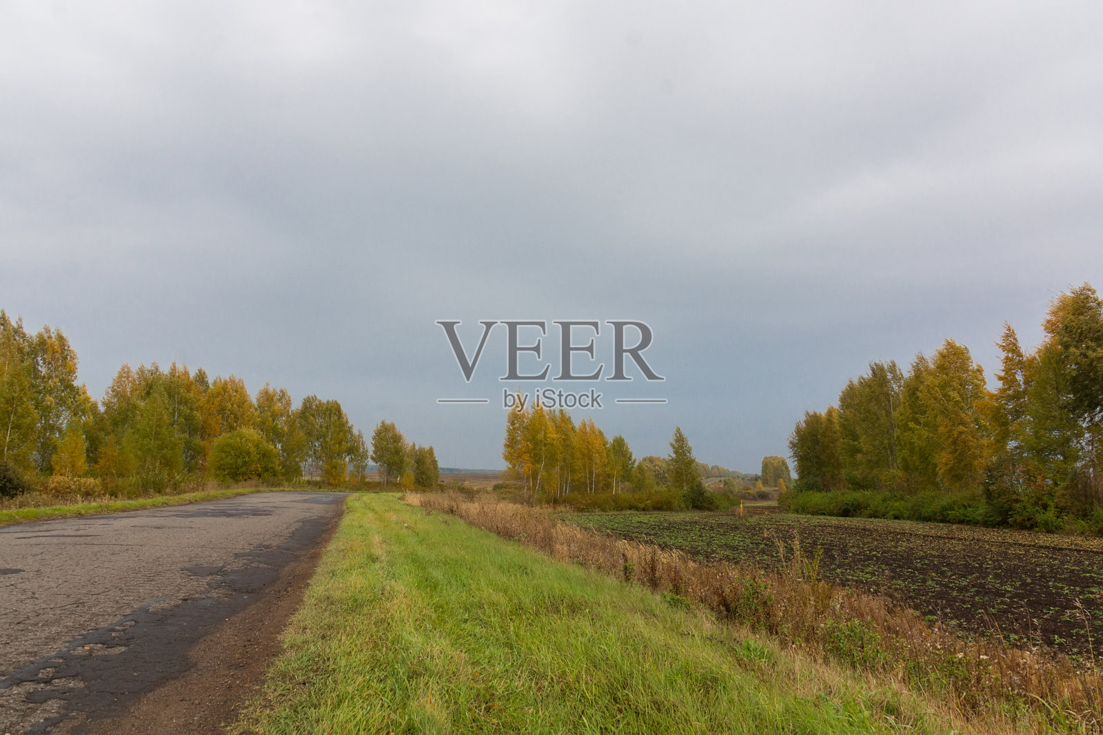 俄罗斯柏油路照片摄影图片