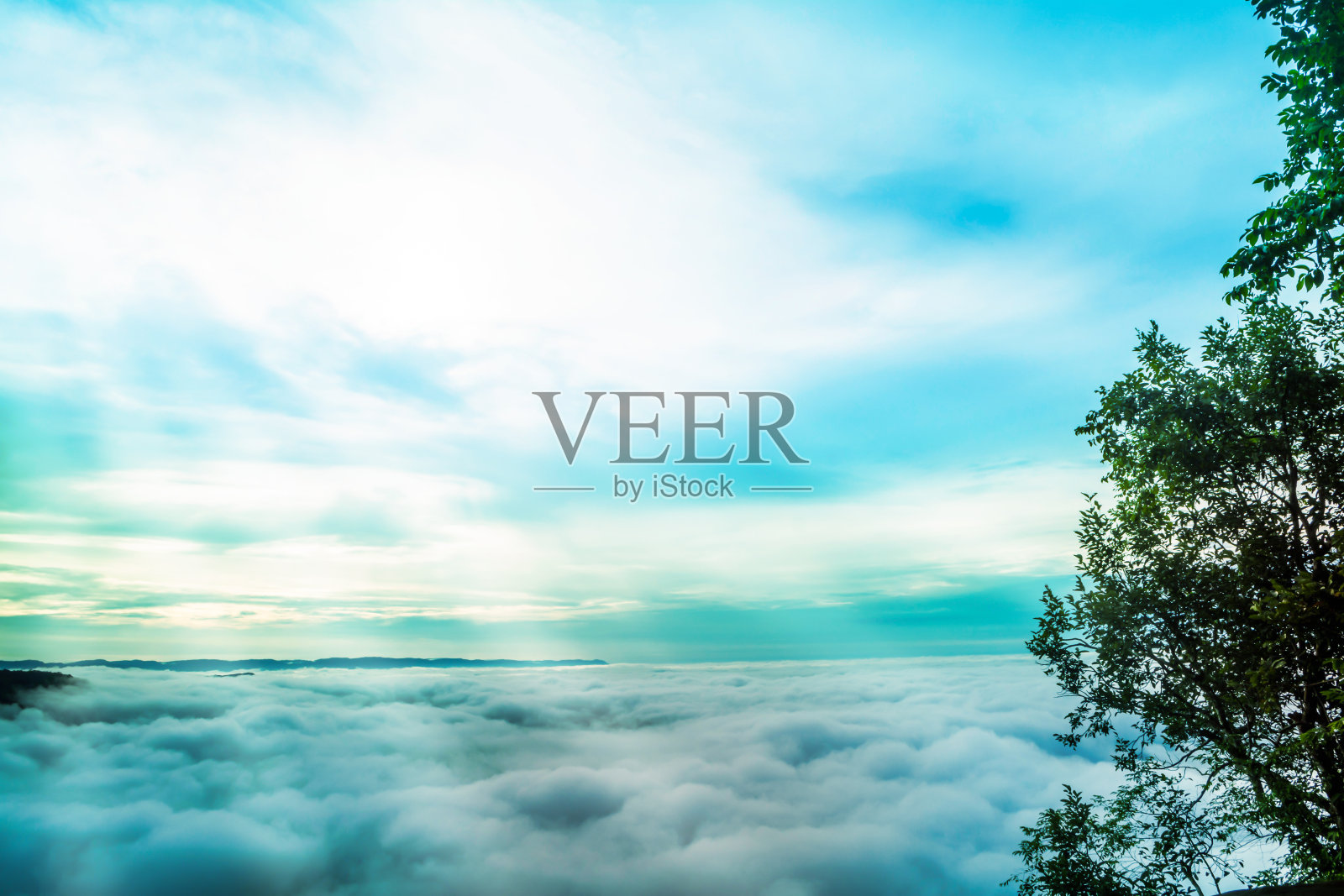 海雾,蓝天绿树和日出背景照片摄影图片