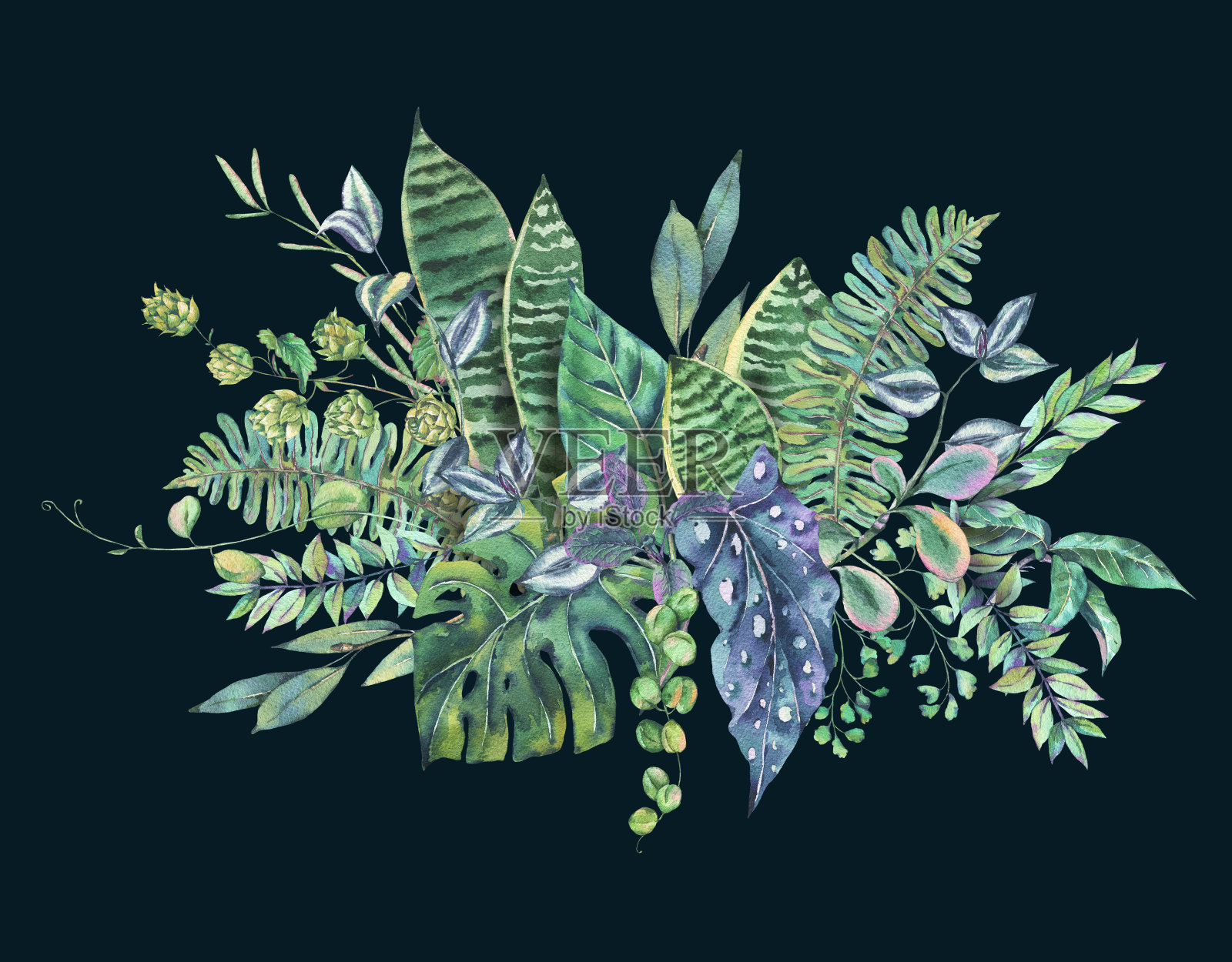 水彩花束的绿色异国情调的叶子插画图片素材