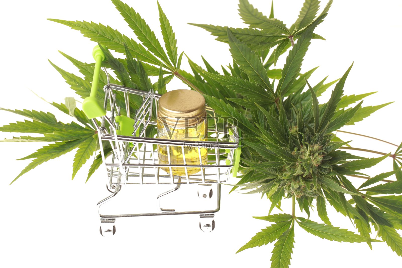 大麻和麻照片摄影图片