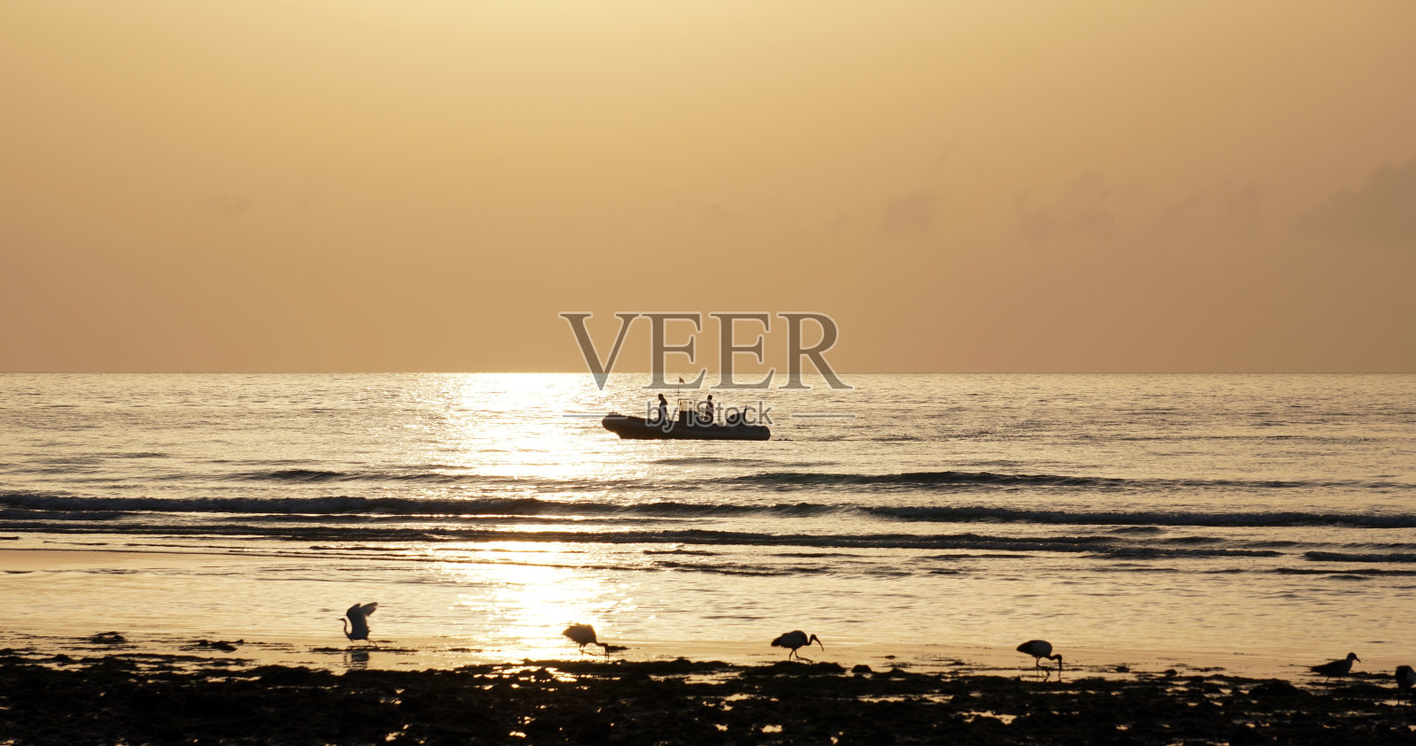 海面上的早晨。照片摄影图片