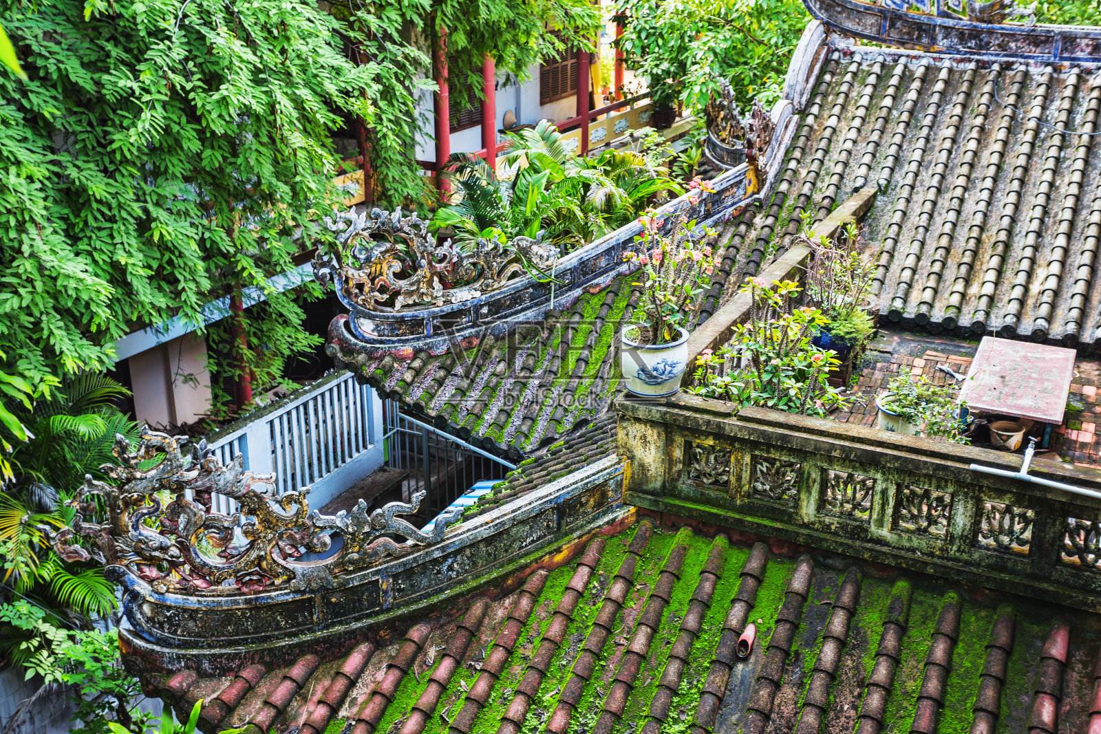 龙子塔景色照片摄影图片