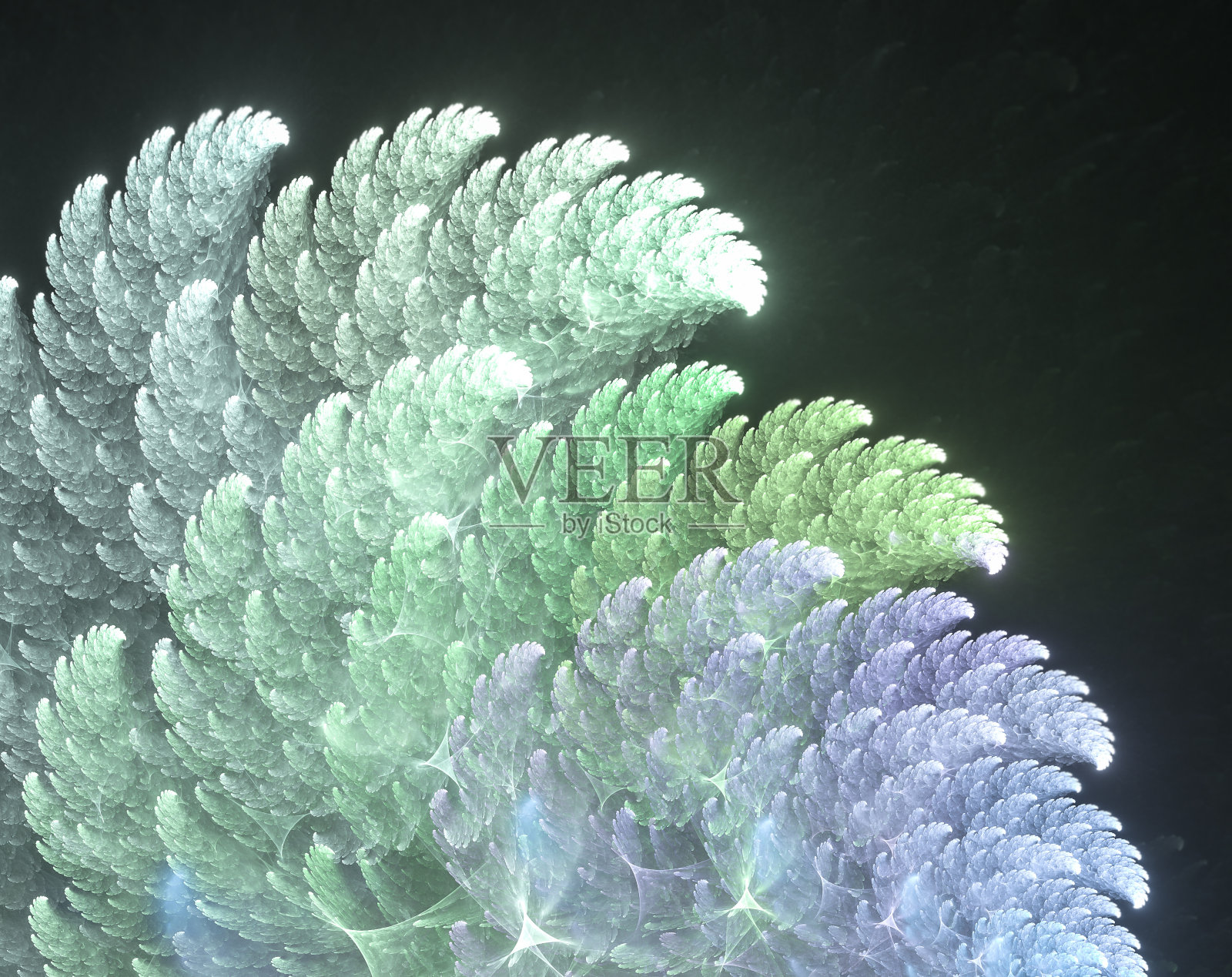 分形照片摄影图片