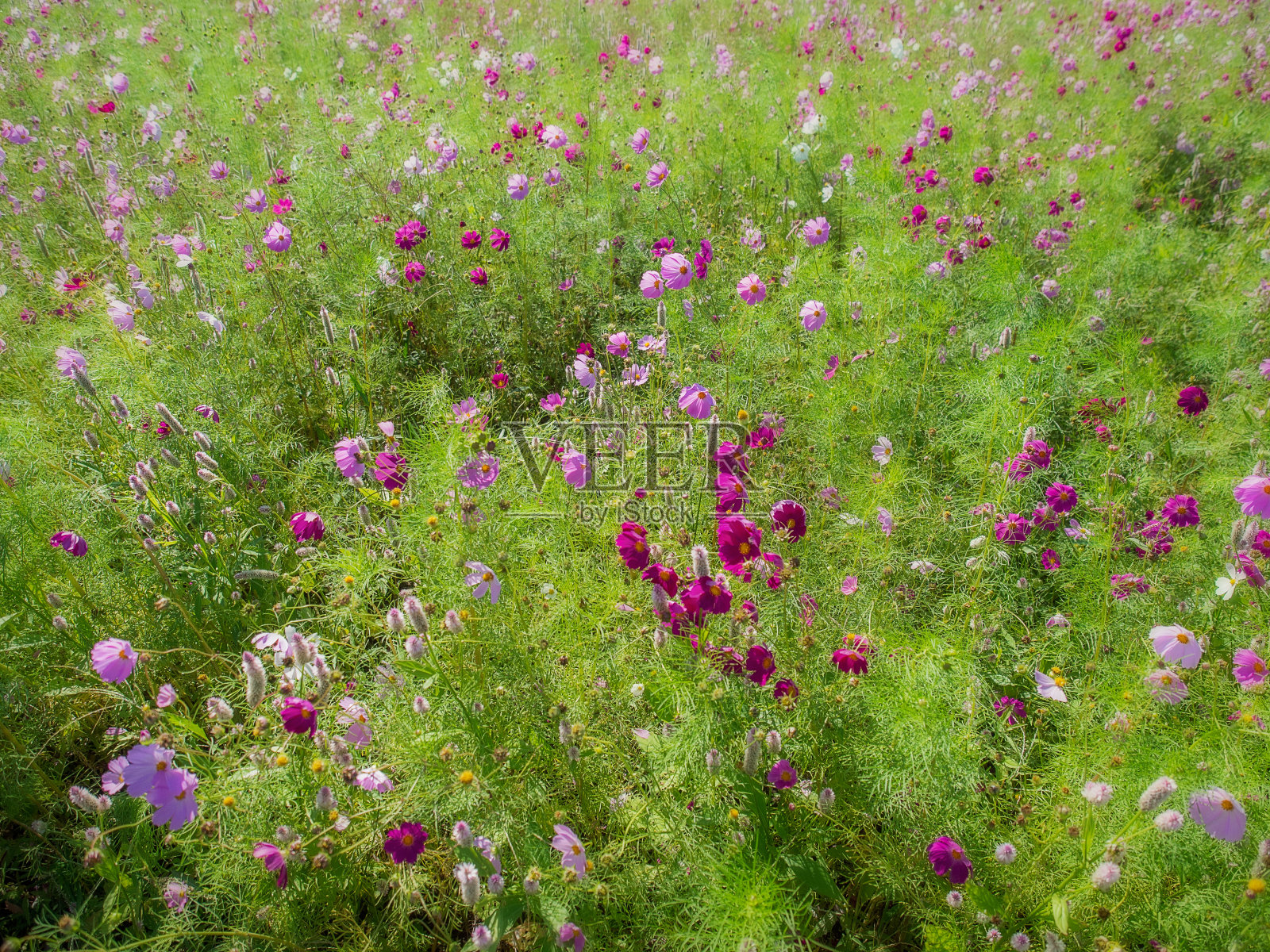 宇宙领域照片摄影图片