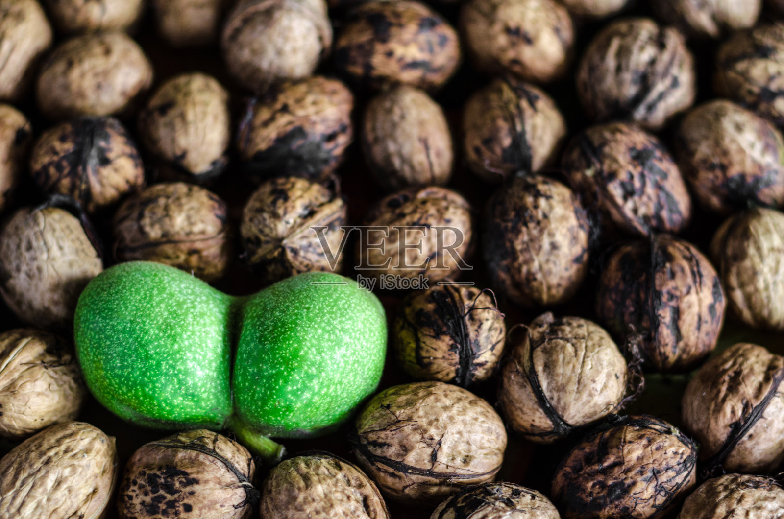 很多带纹理的去皮核桃和一个重绿色的照片摄影图片