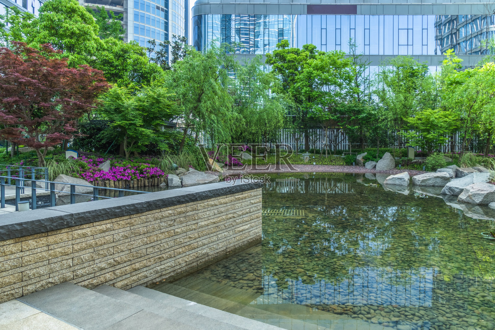 绿色城市公园照片摄影图片