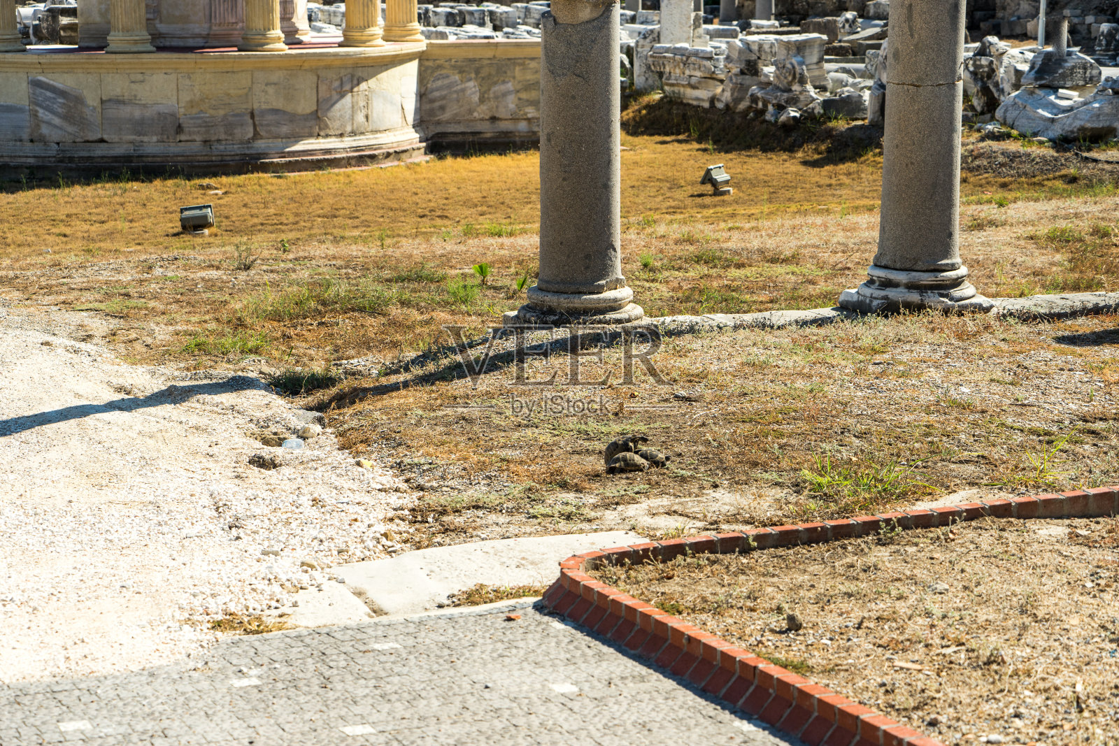 土耳其南部阿波罗神庙的废墟照片摄影图片