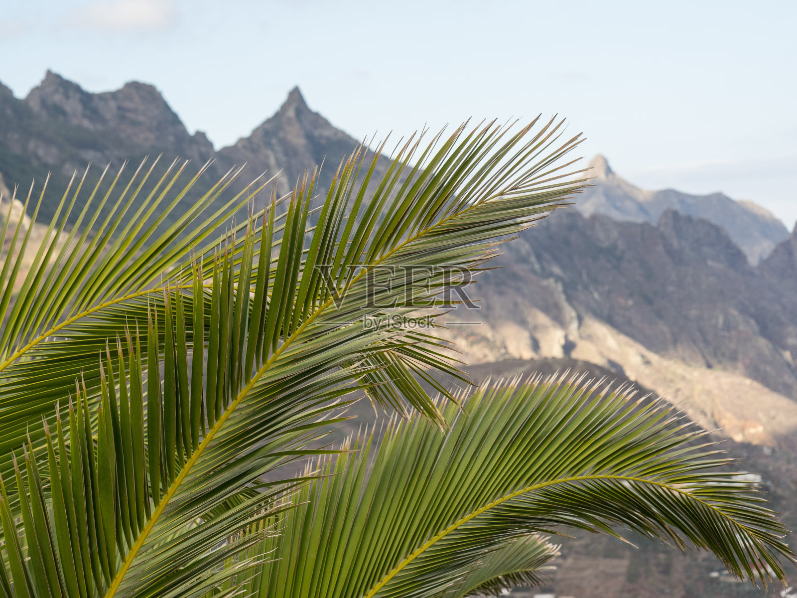 西班牙的特内里费岛照片摄影图片