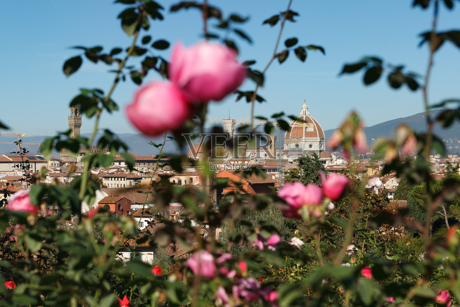 花圣玛丽亚大教堂照片摄影图片