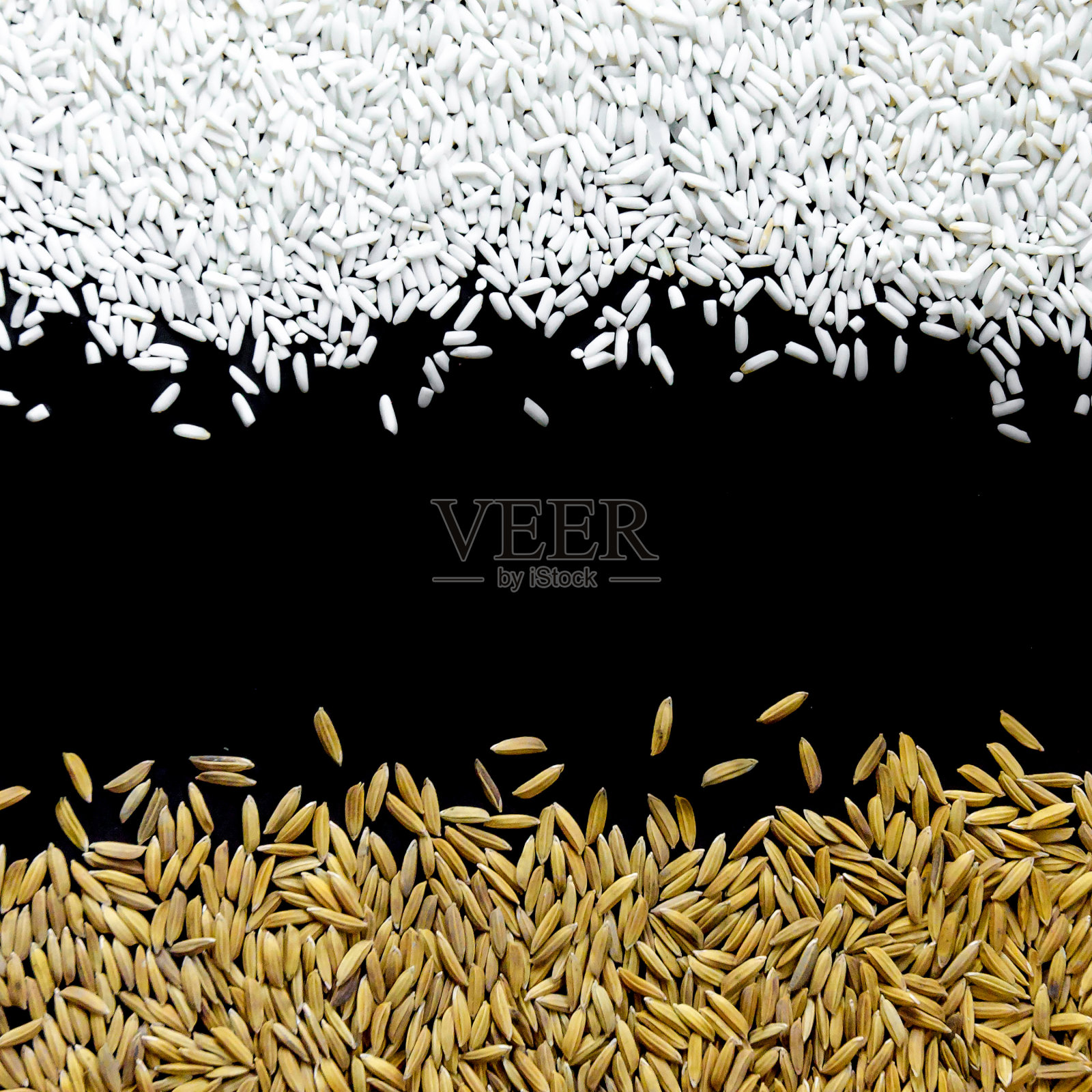 俯视图水稻和水稻种子上的黑色背景为孤立照片摄影图片