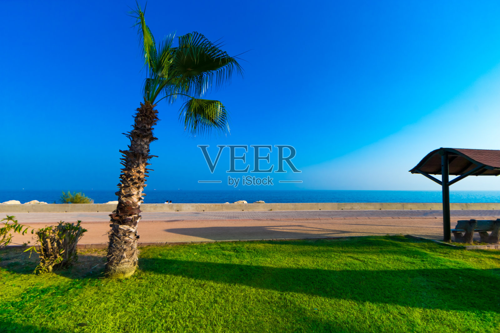 公园和花园照片摄影图片