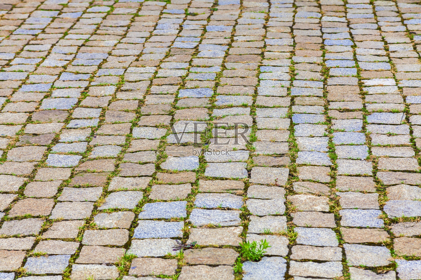 鹅卵石草地纹理照片摄影图片