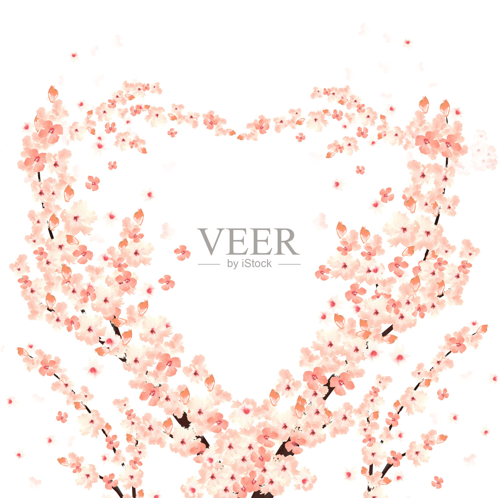 盛开的心形樱花枝插画图片素材