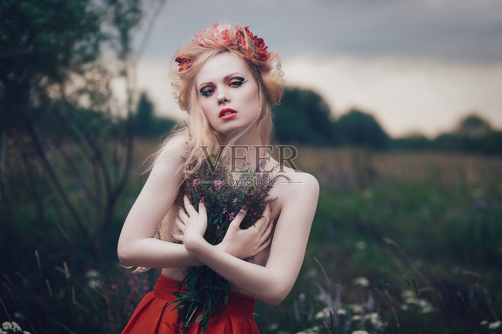 草地上长着发花的森林仙女照片摄影图片