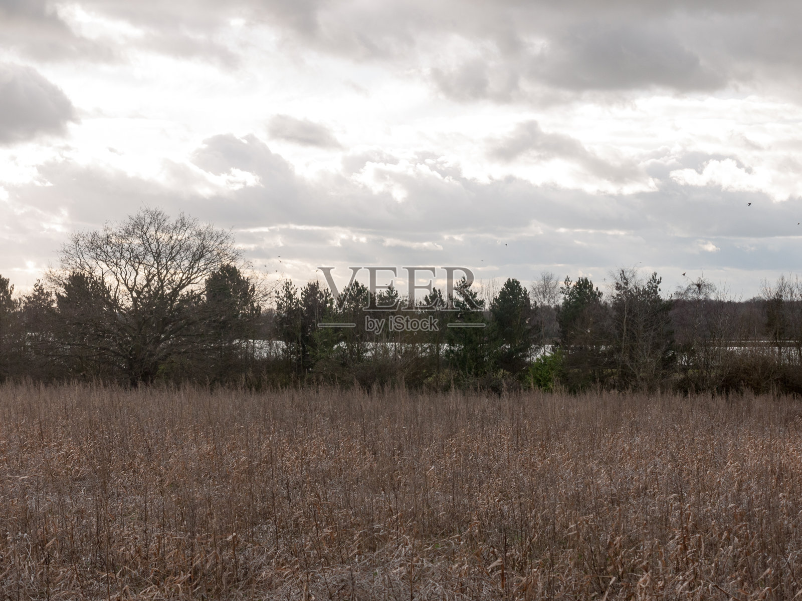 秋天的农田上空漂浮着忧郁的天空照片摄影图片