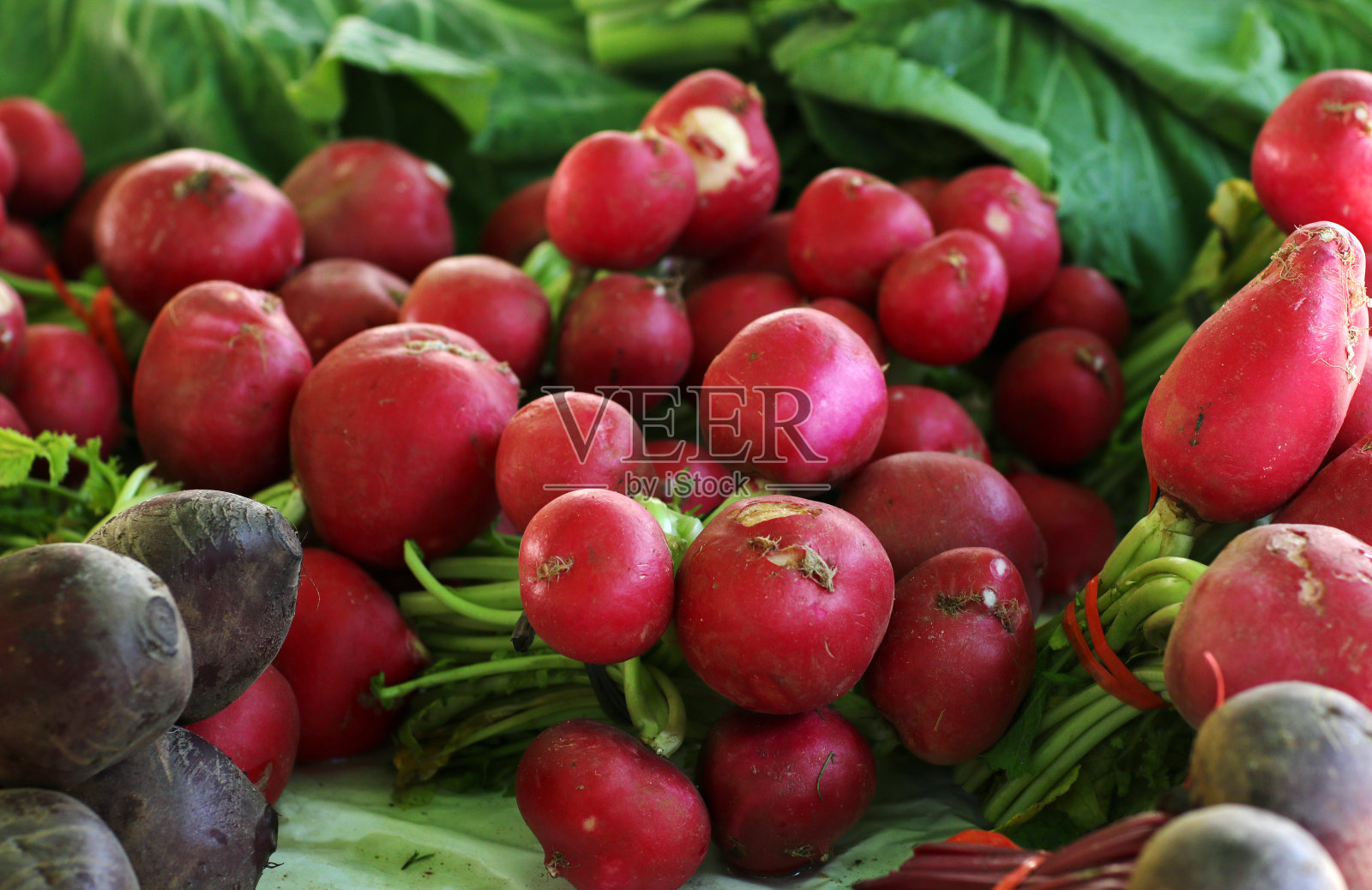 萝卜照片摄影图片