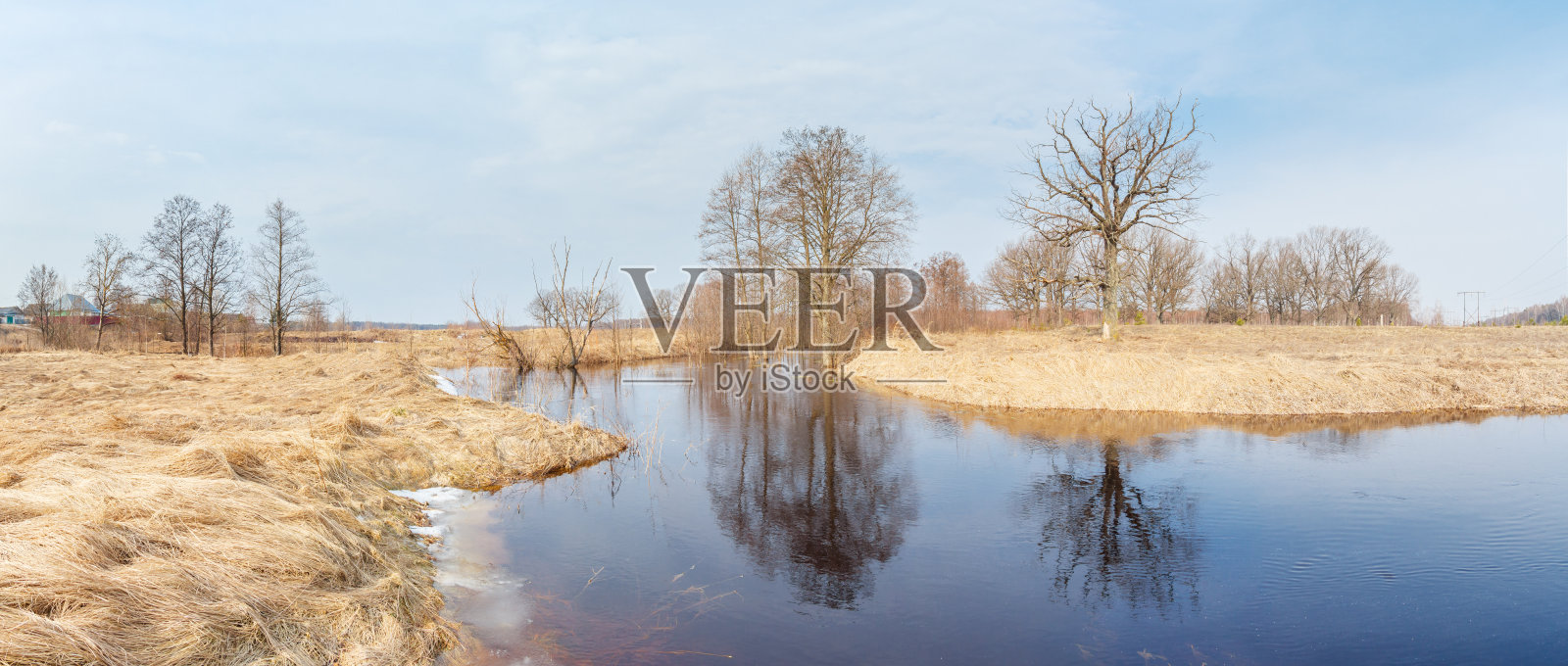 树木泛滥的河流照片摄影图片