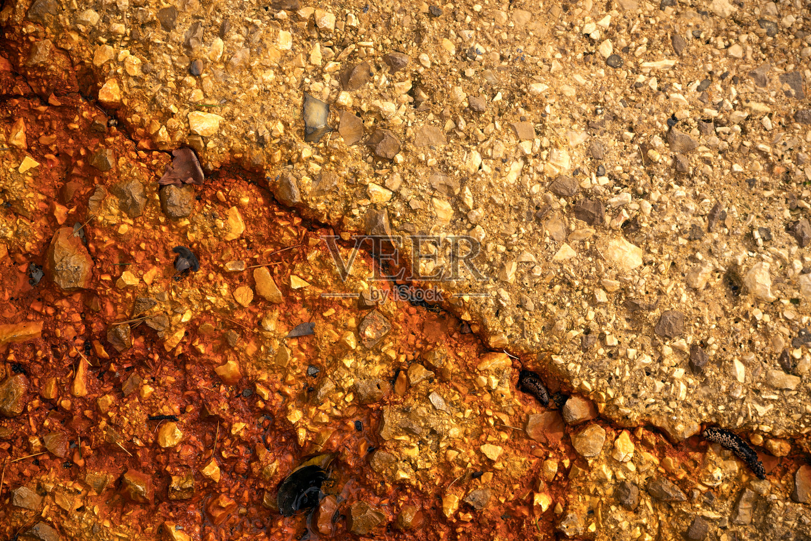 近距离照片摄影图片