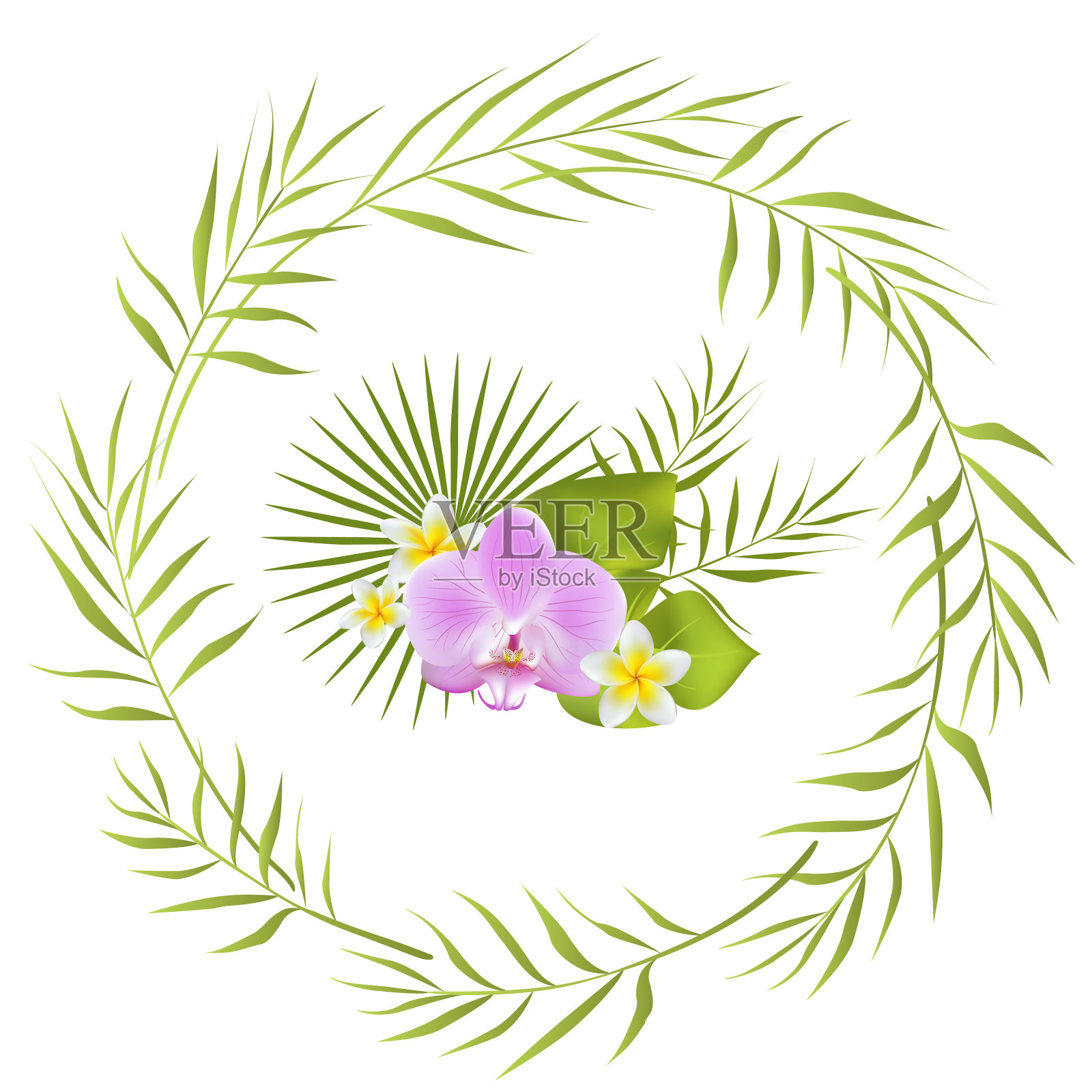 热带花卉。棕榈叶。兰花。Plumeria。鸡蛋花。白色奇异的植物。边境。设计元素图片