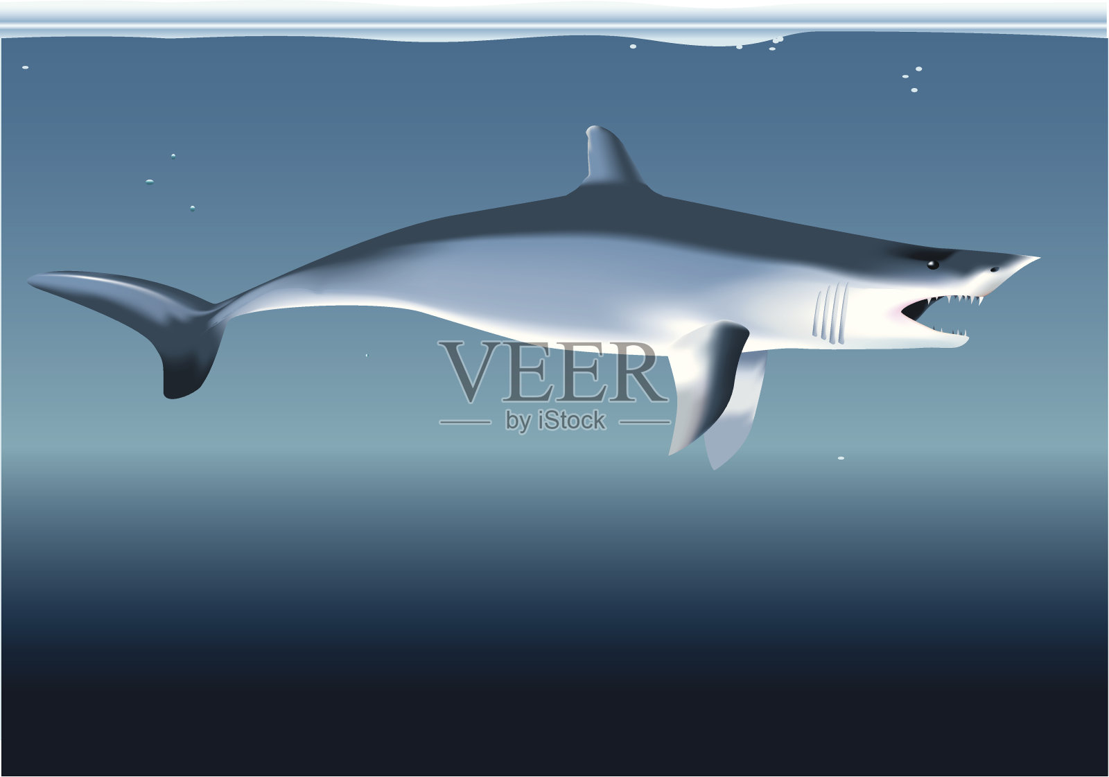 鲨鱼插画图片素材