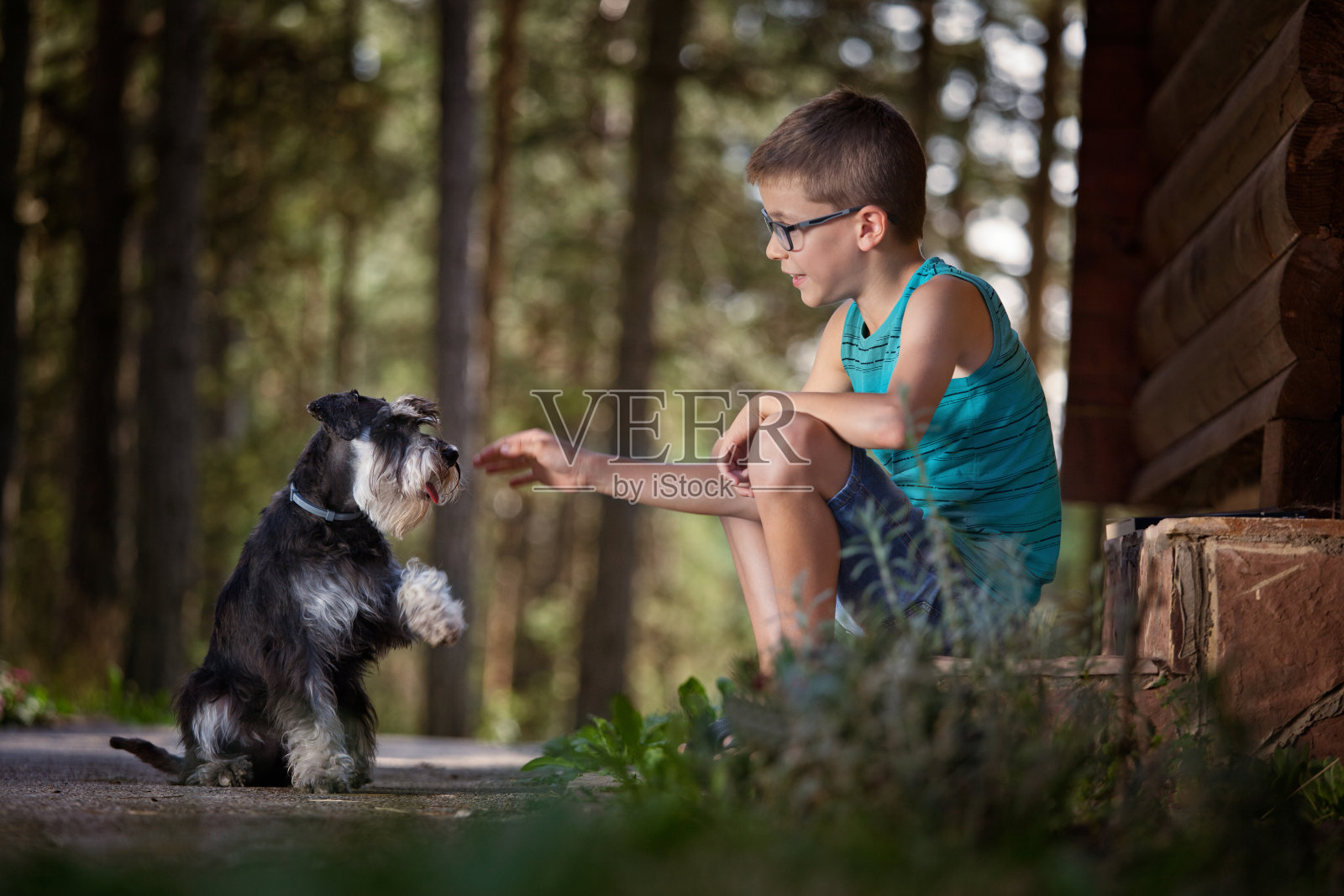 可爱的男孩和他的小狗玩照片摄影图片