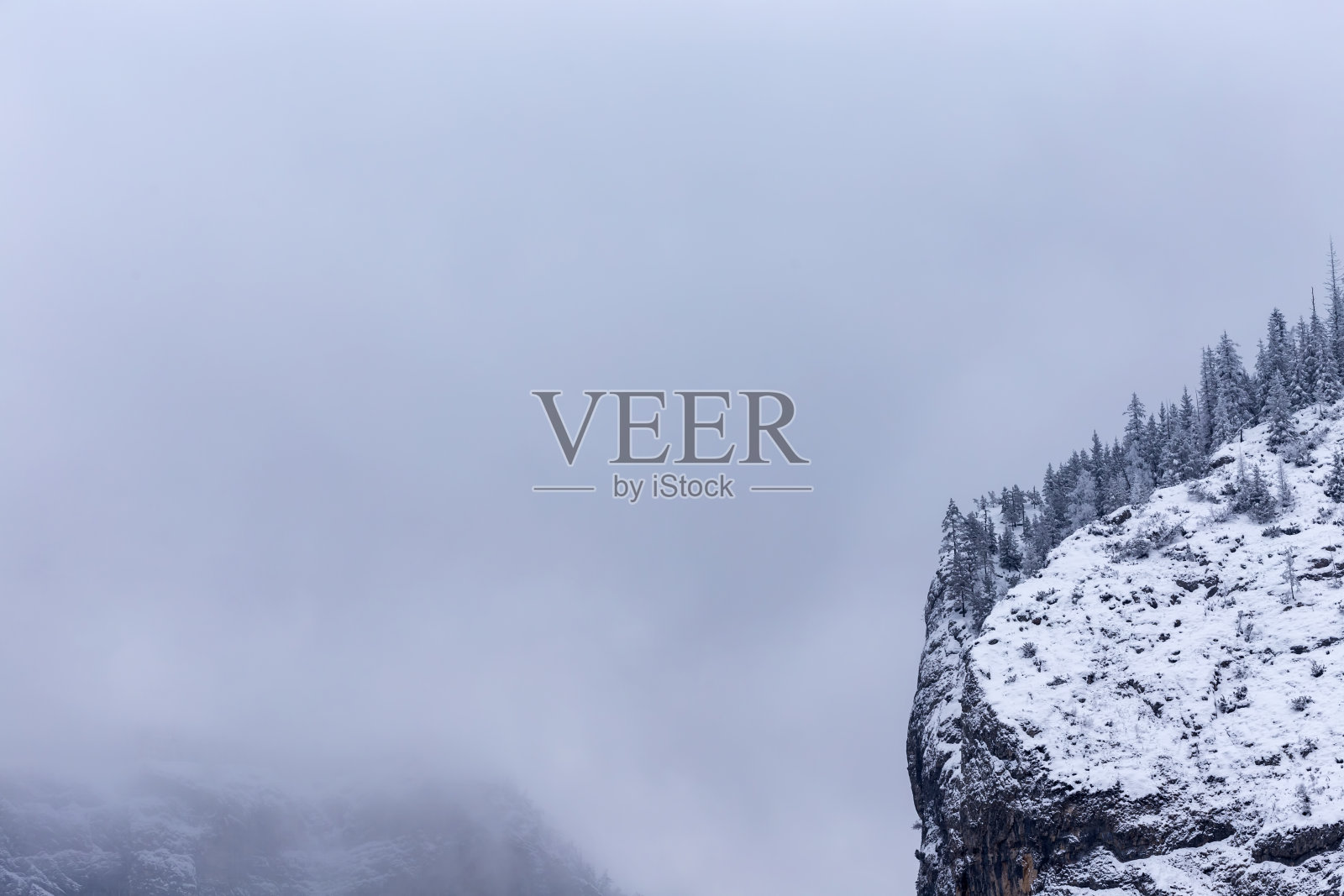 冬季景观与松树林喀尔巴阡山脉照片摄影图片