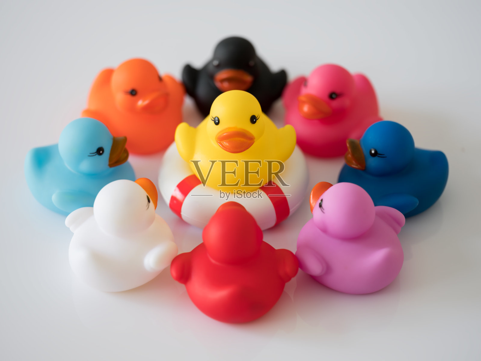 9只不同颜色的鸭子围成一个圈,彼此面对,场景设置在白色的背景上。照片摄影图片