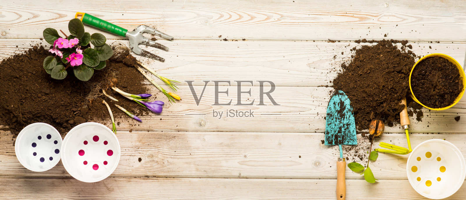 园艺。木背景上的泥土和花盆。房子里有春天的花园和绿色植物。园丁的工作。为春天做准备。花店和花店,花店。未来的鲜花和工具照片摄影图片