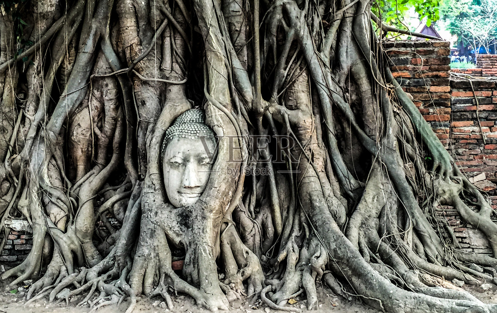 泰国暹罗的古老佛教寺庙照片摄影图片
