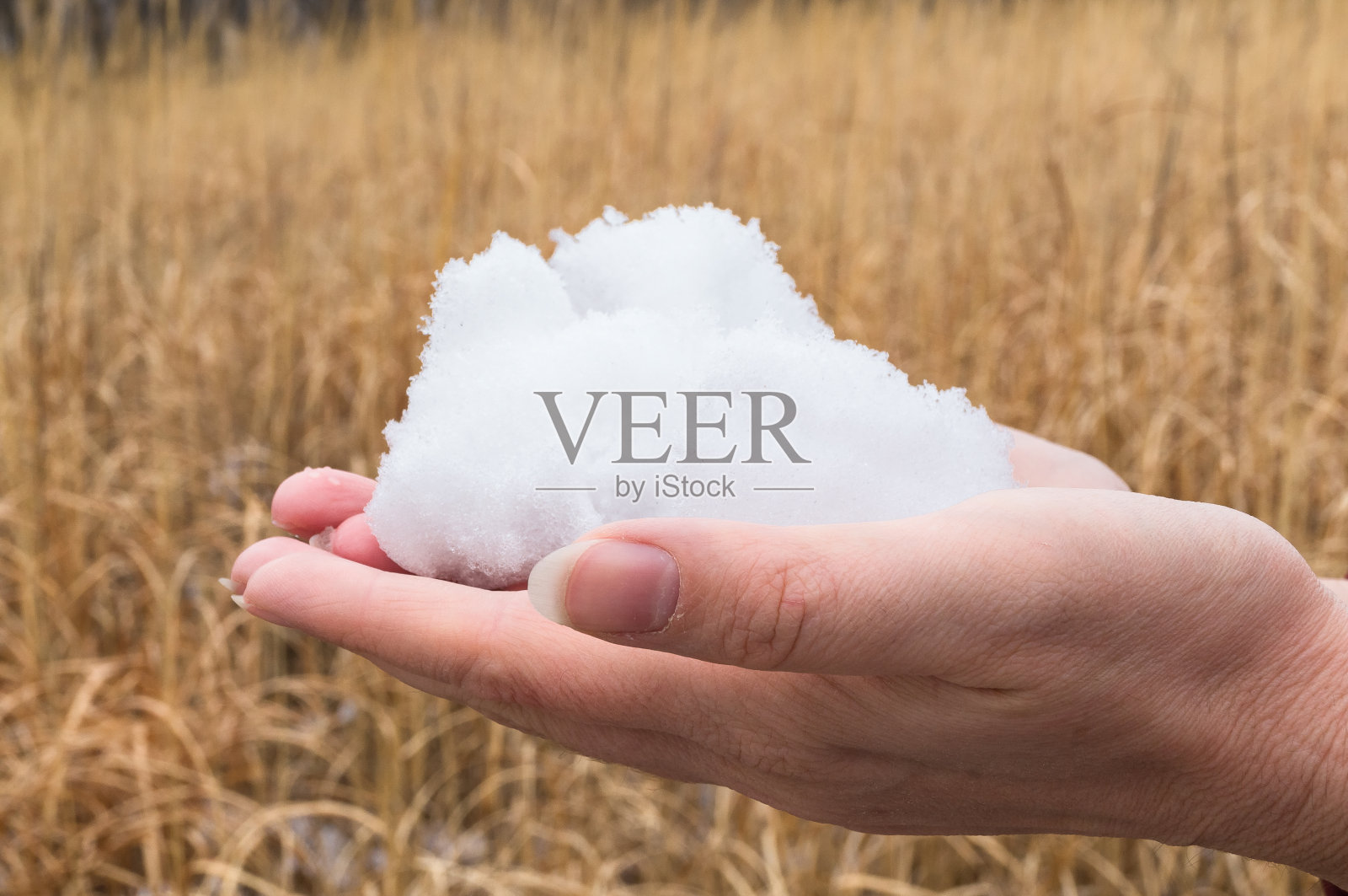 飞的雪花。在晴朗的日子里吹雪在寒冷的冬天公园。快乐的冬天照片摄影图片