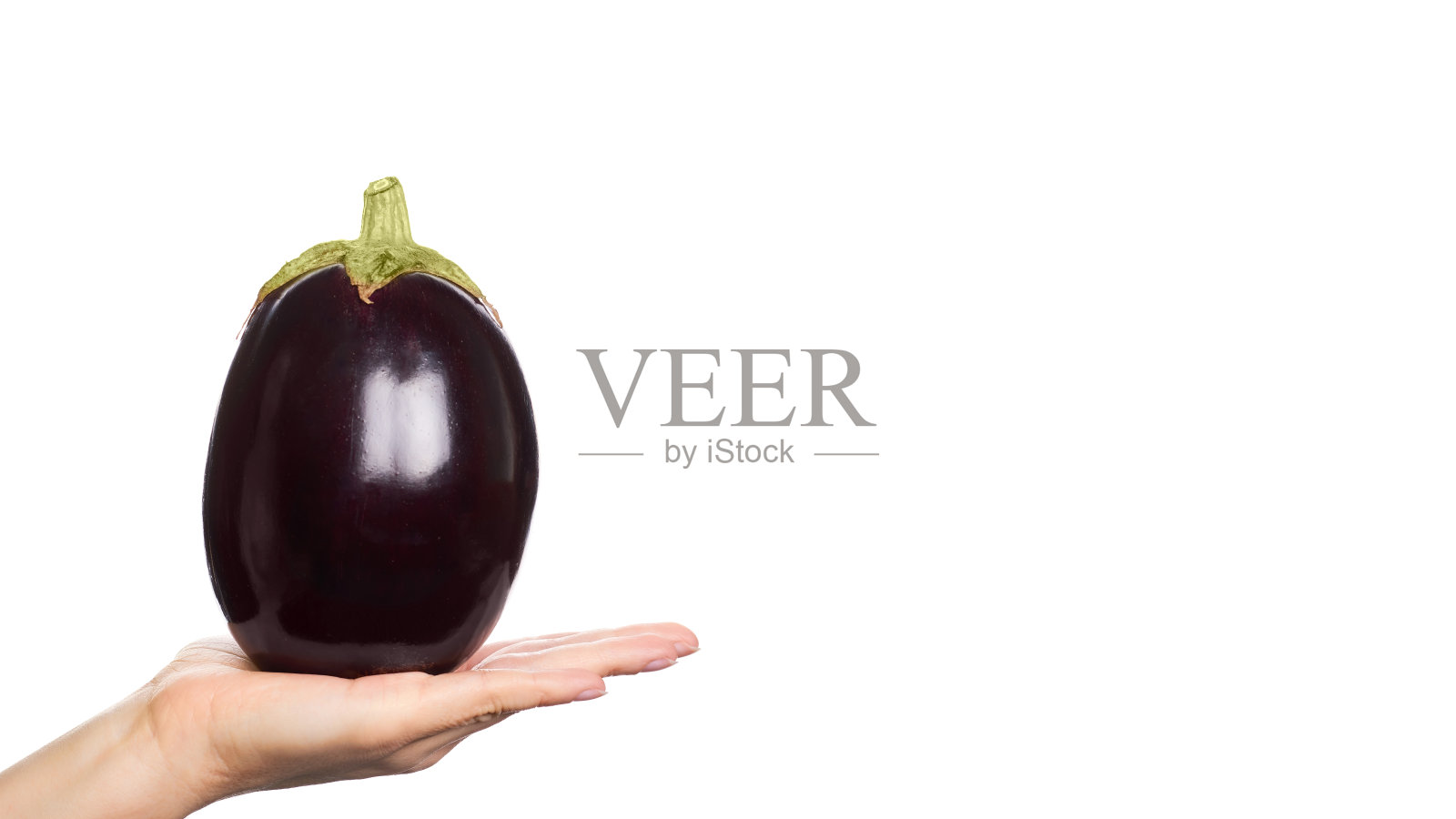 紫色的新鲜有机茄子在手孤立在白色的背景。复制空间、模板照片摄影图片